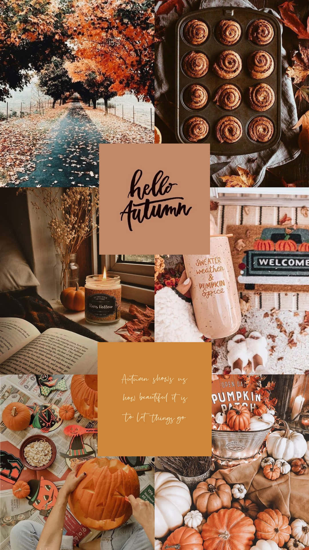 Beautiful Autumn Views Background