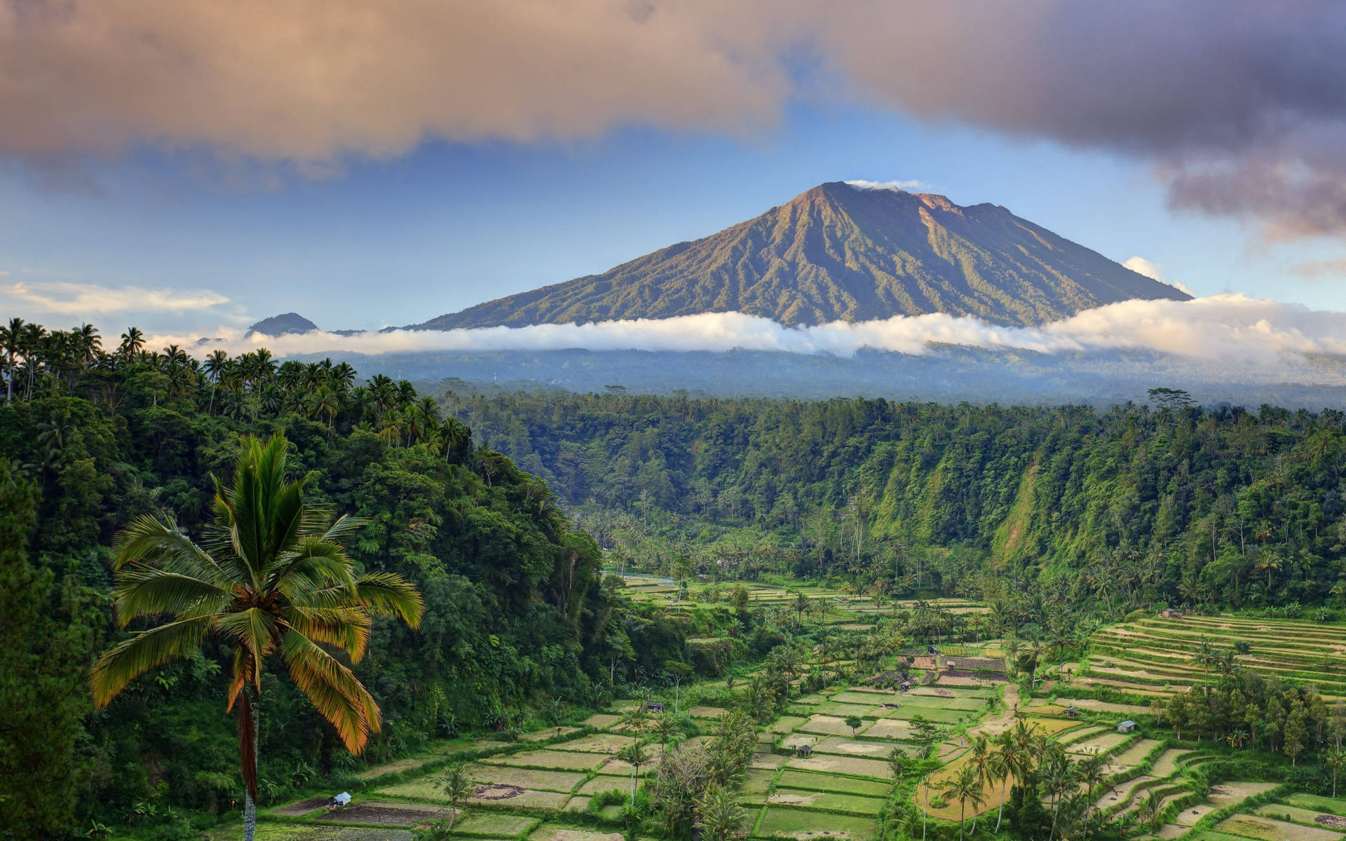 Beautiful Bali Indonesia Tropical Desktop