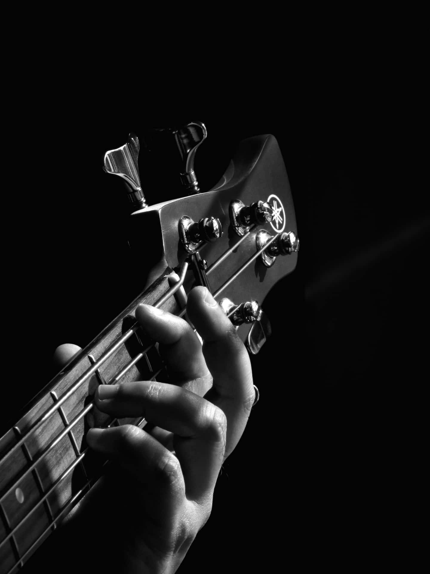 Beautiful Bass Guitar Strummed By A Professional Musician