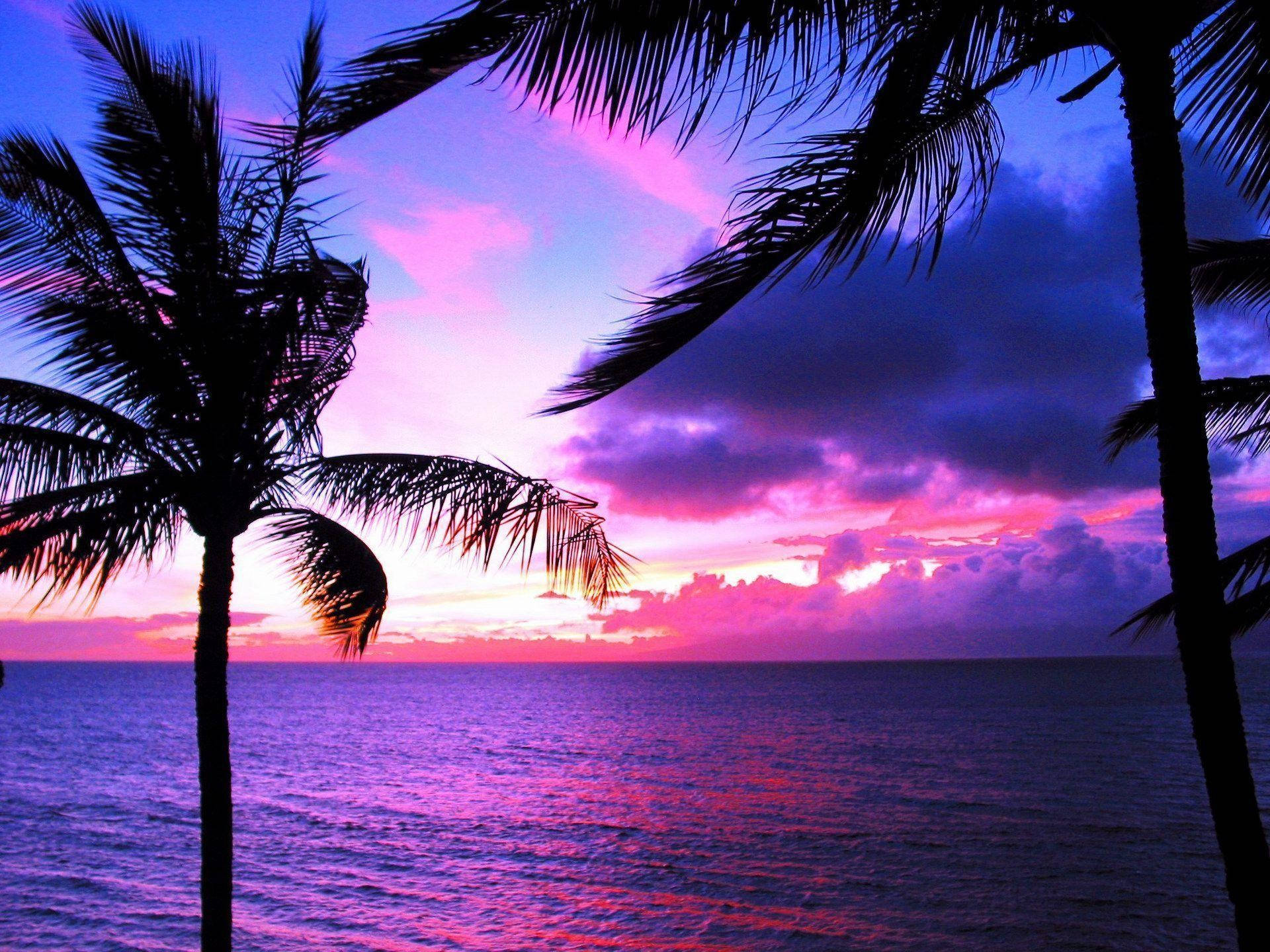 Beautiful Beach And Purple Sky Sunset Background