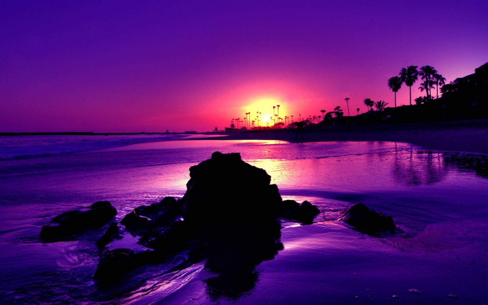 Beautiful Beach Purple Sunset Background