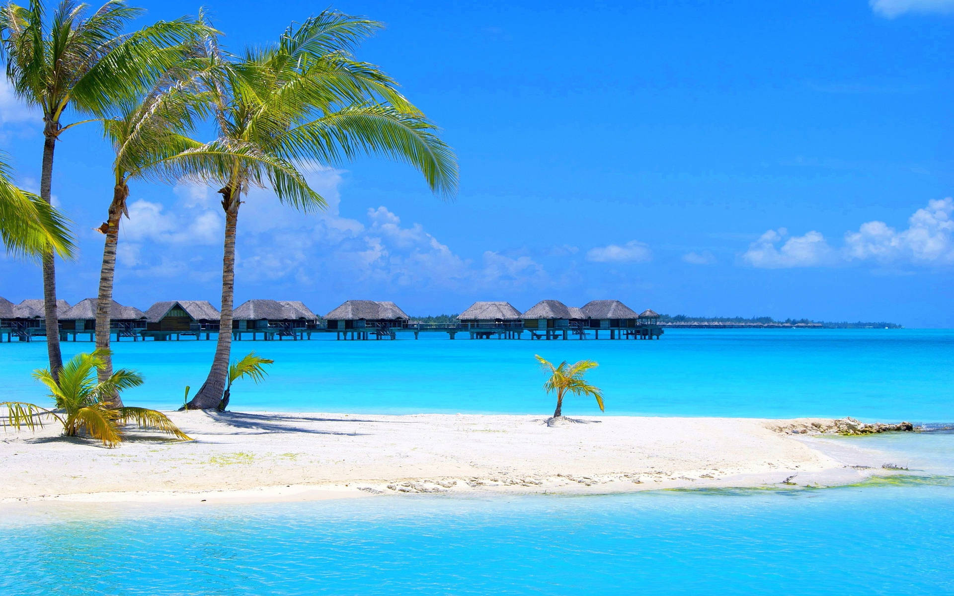 Beautiful Beach Under The Blue Sky Background