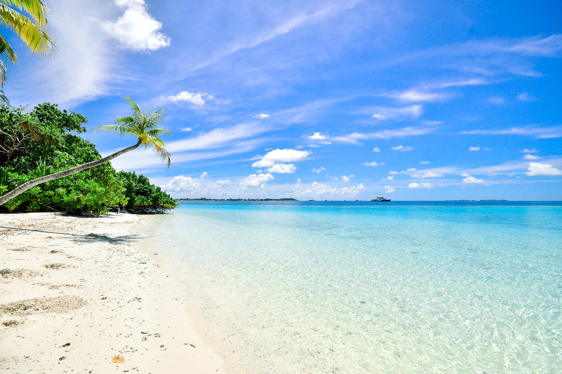 Beautiful Beach With A White Shore Background