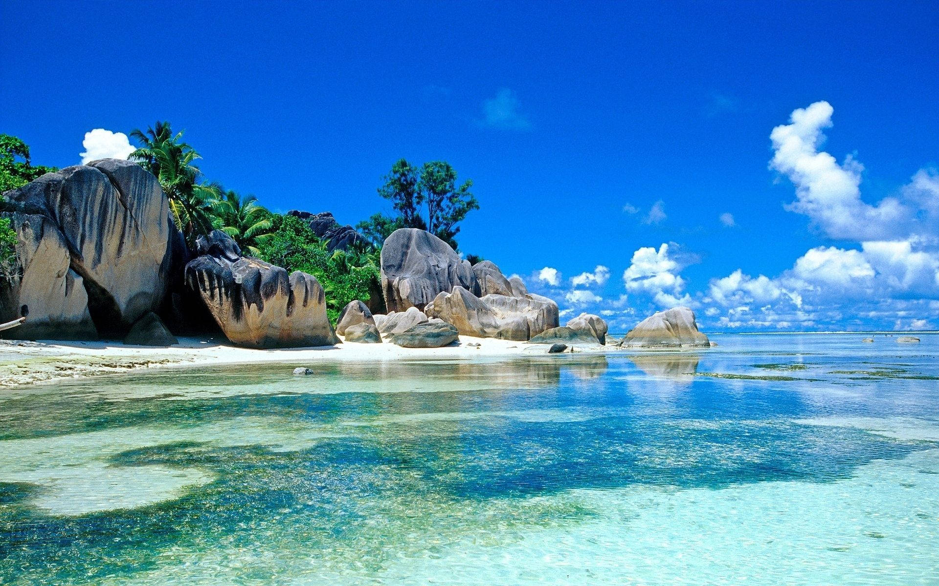 Beautiful Beach With Clear Waters Background