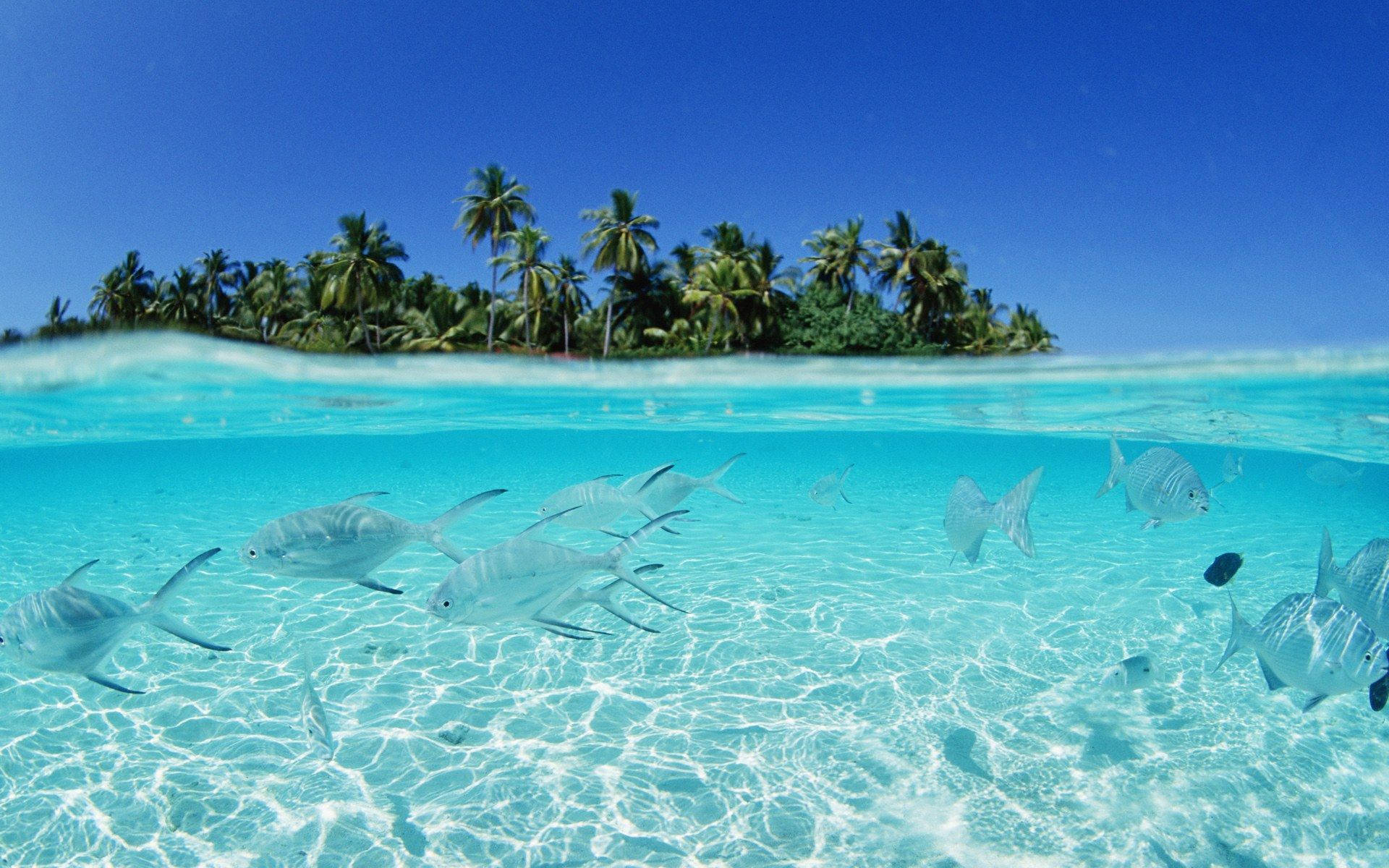 Beautiful Beach With Crystal Clear Waters