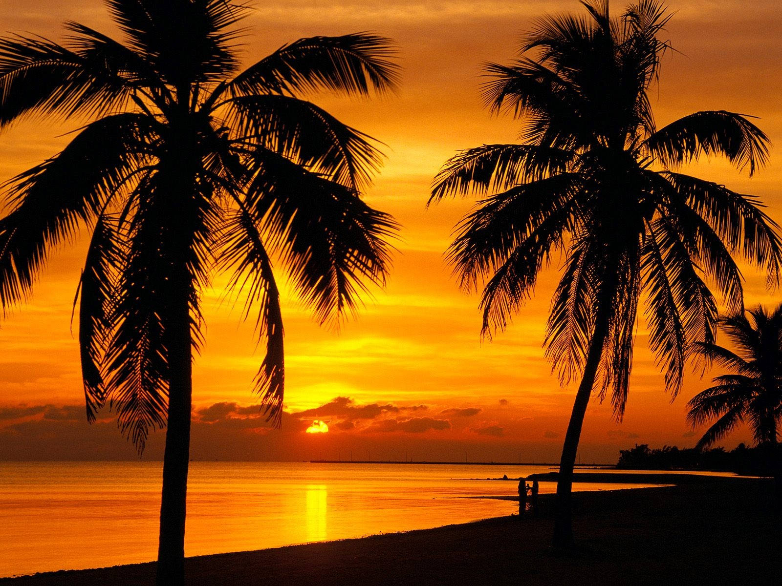 Beautiful Beach With Orange Sunset Sky Background