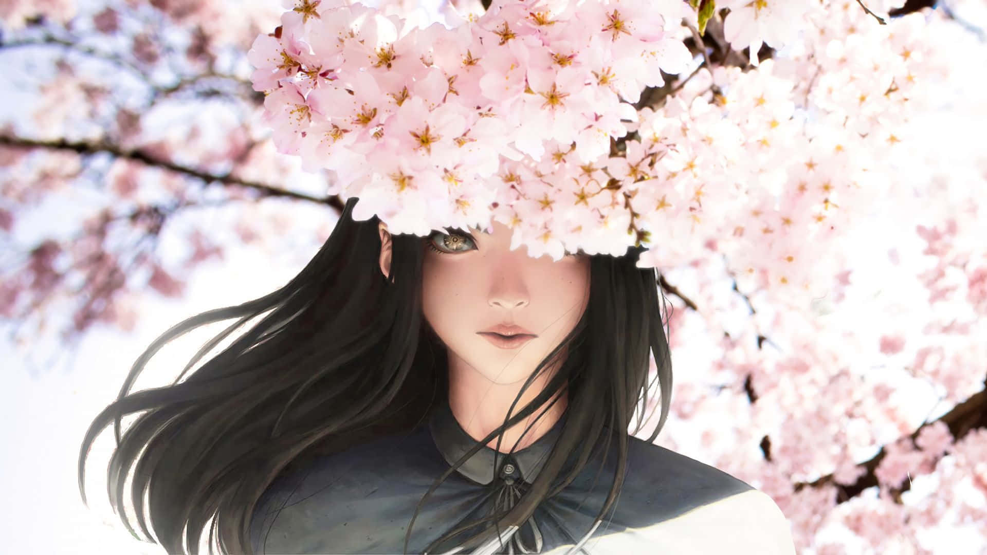 Beautiful Black Haired Girl With Sakura Anime Flowers Background