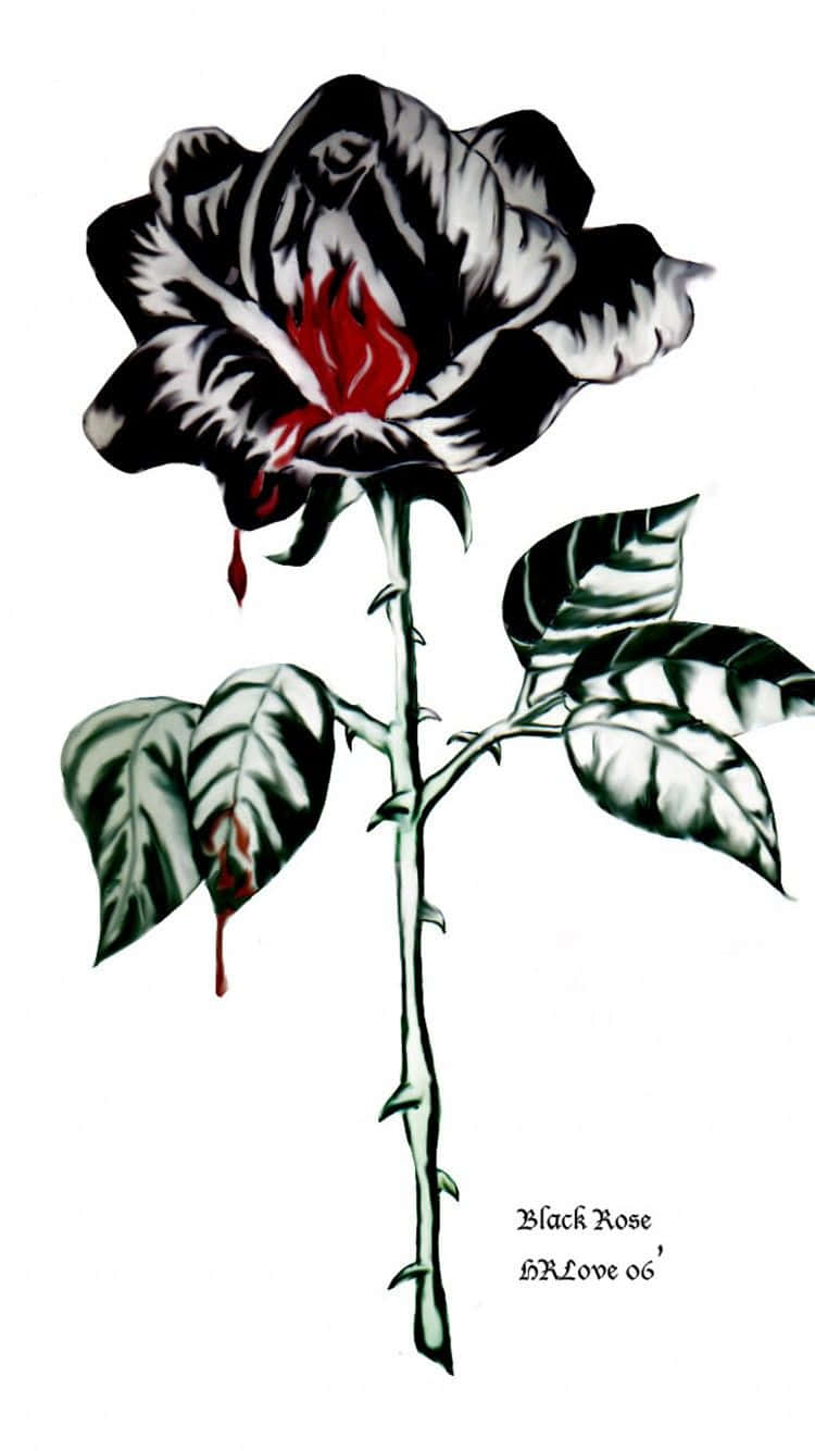Beautiful Black Rose Aesthetic To Represent Shadow And Strength Background