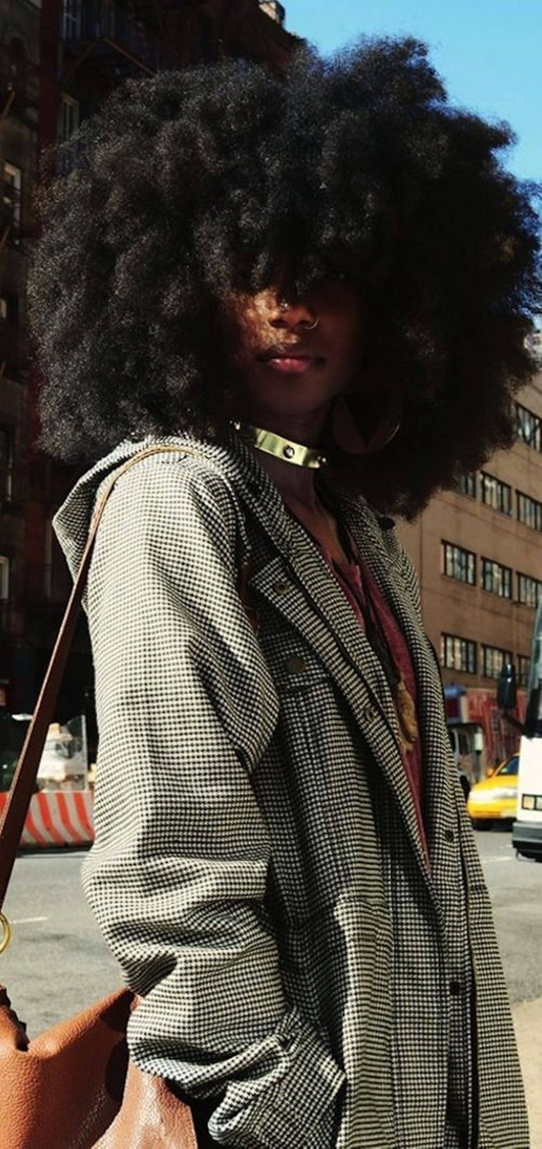 Beautiful Black Woman Fluffy Hair Background