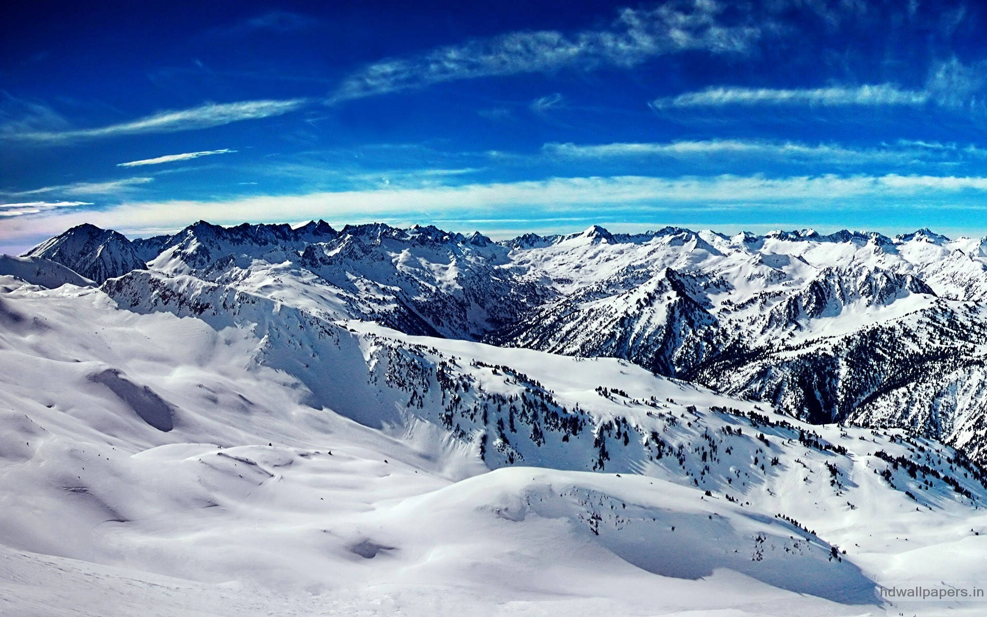 Beautiful Blue Snowy Landscape