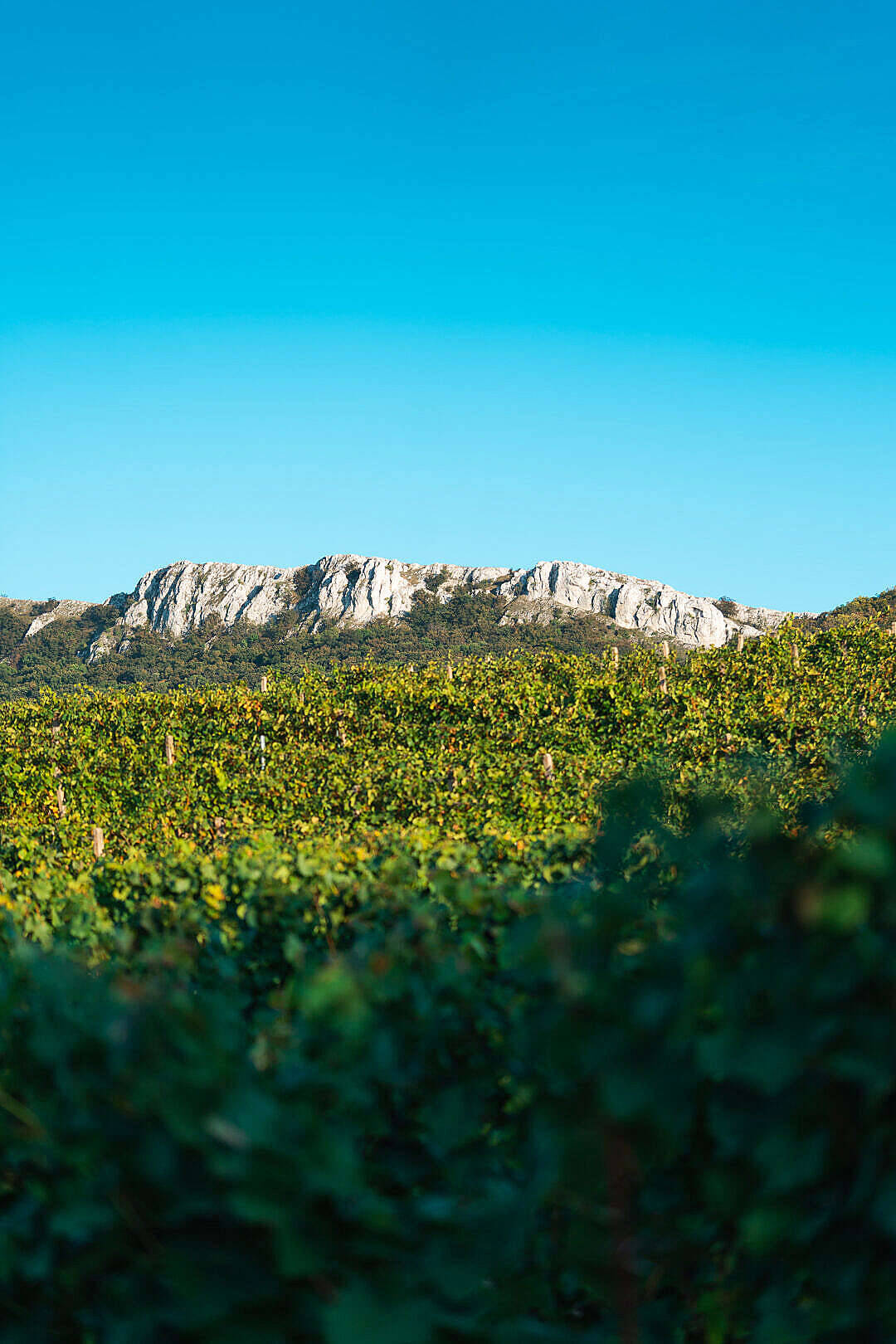 Beautiful Blue View Of Palava Rocks