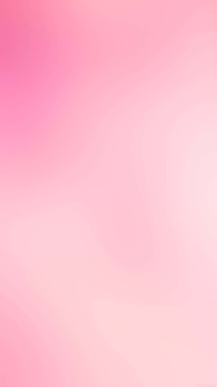 Beautiful Bright Pink Background Background
