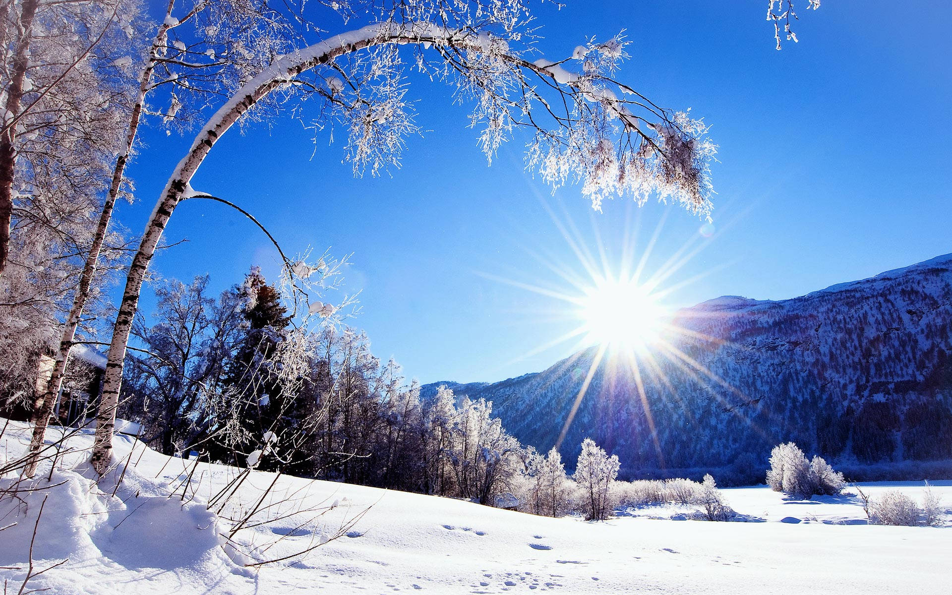 Beautiful Bright Sun Winter Scenery Background