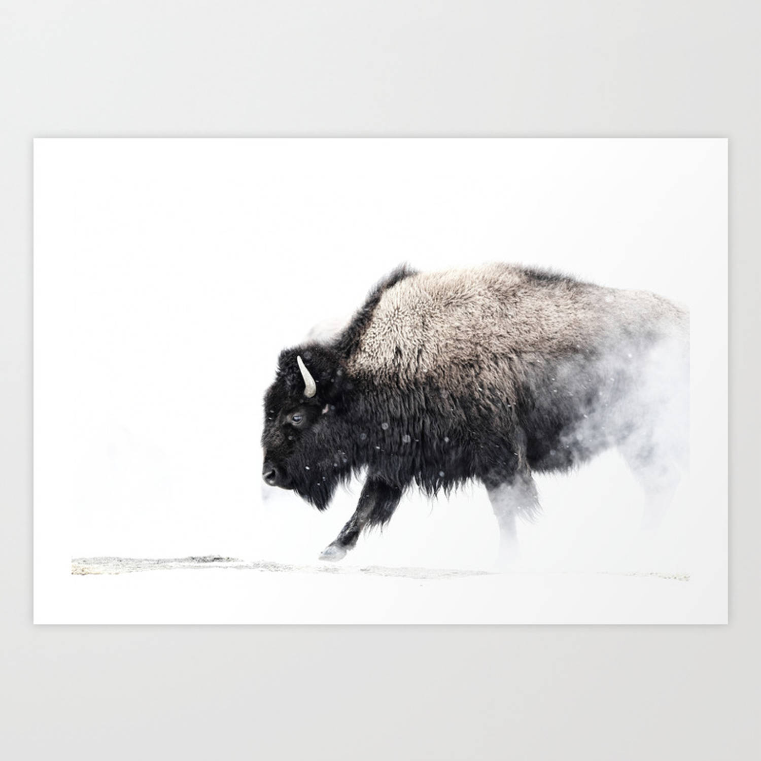 Beautiful Buffalo Painting Background
