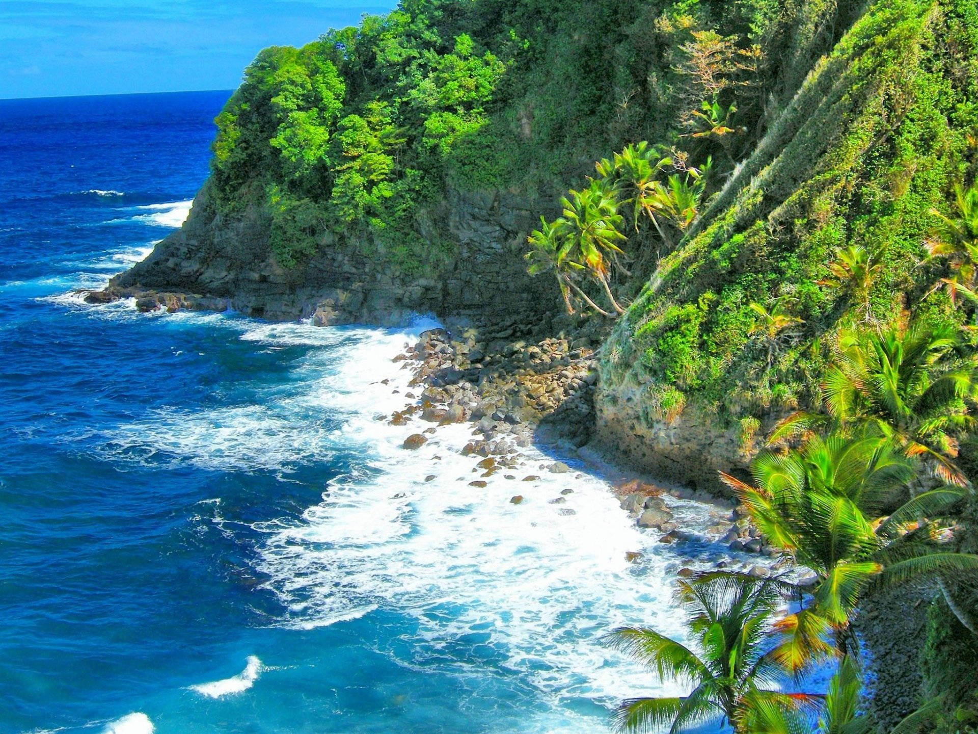 Beautiful Caribbean Coastline Background