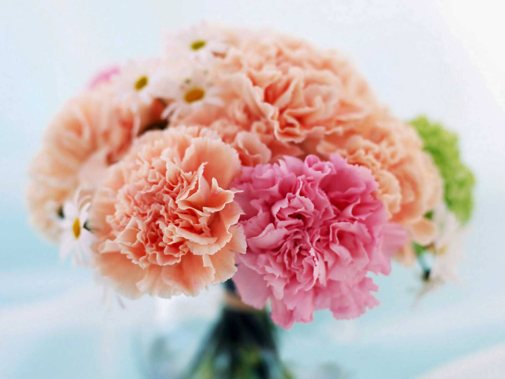 Beautiful Carnation Bouquet