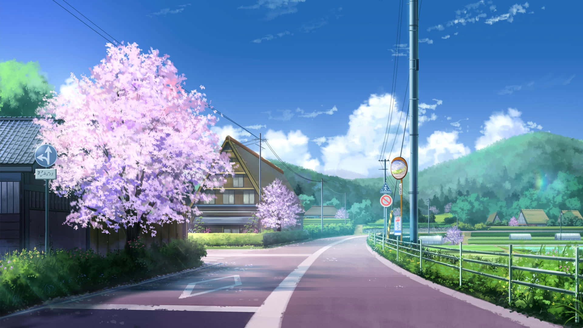 Beautiful Cherry Blossoms Grace The Path Beside A Calming River. Background