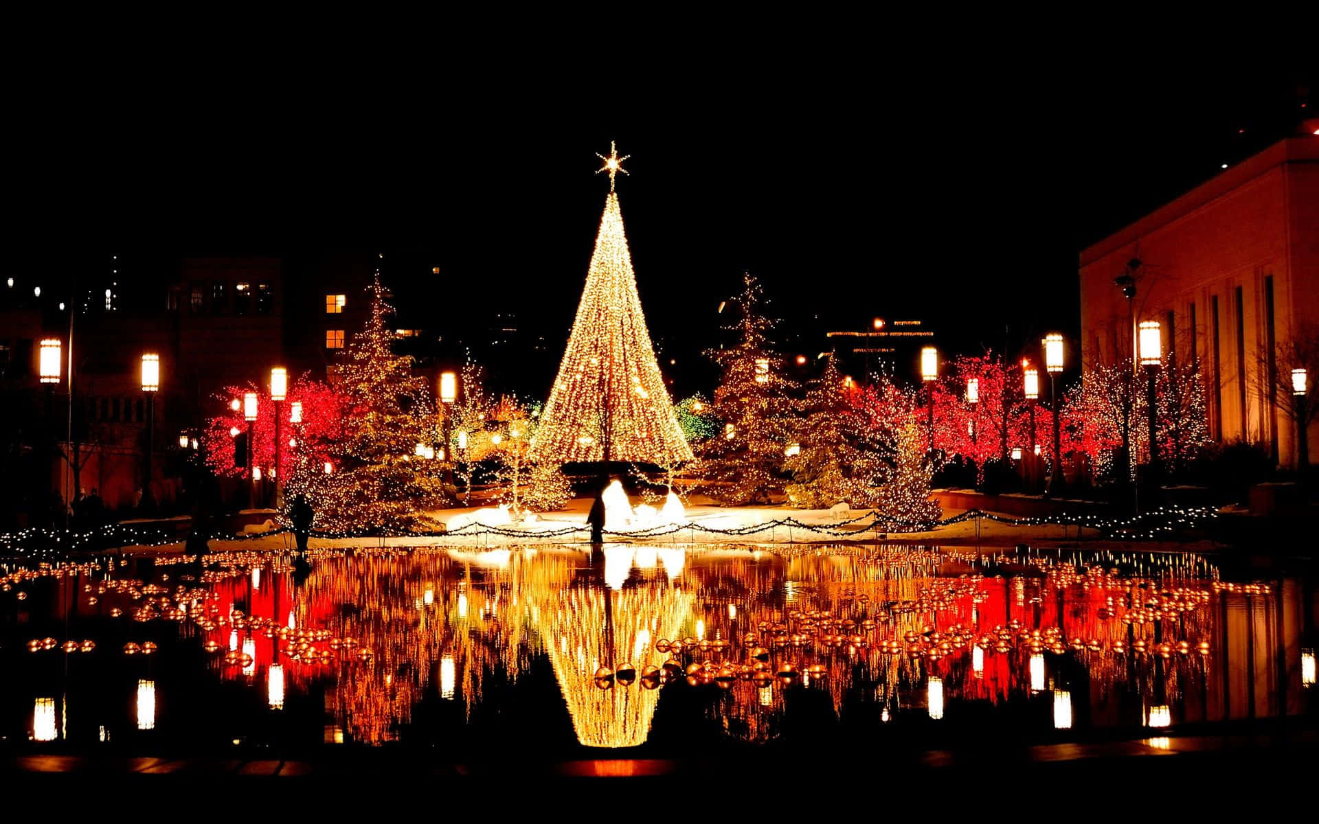 Beautiful Christmas Desktop Reflection Background