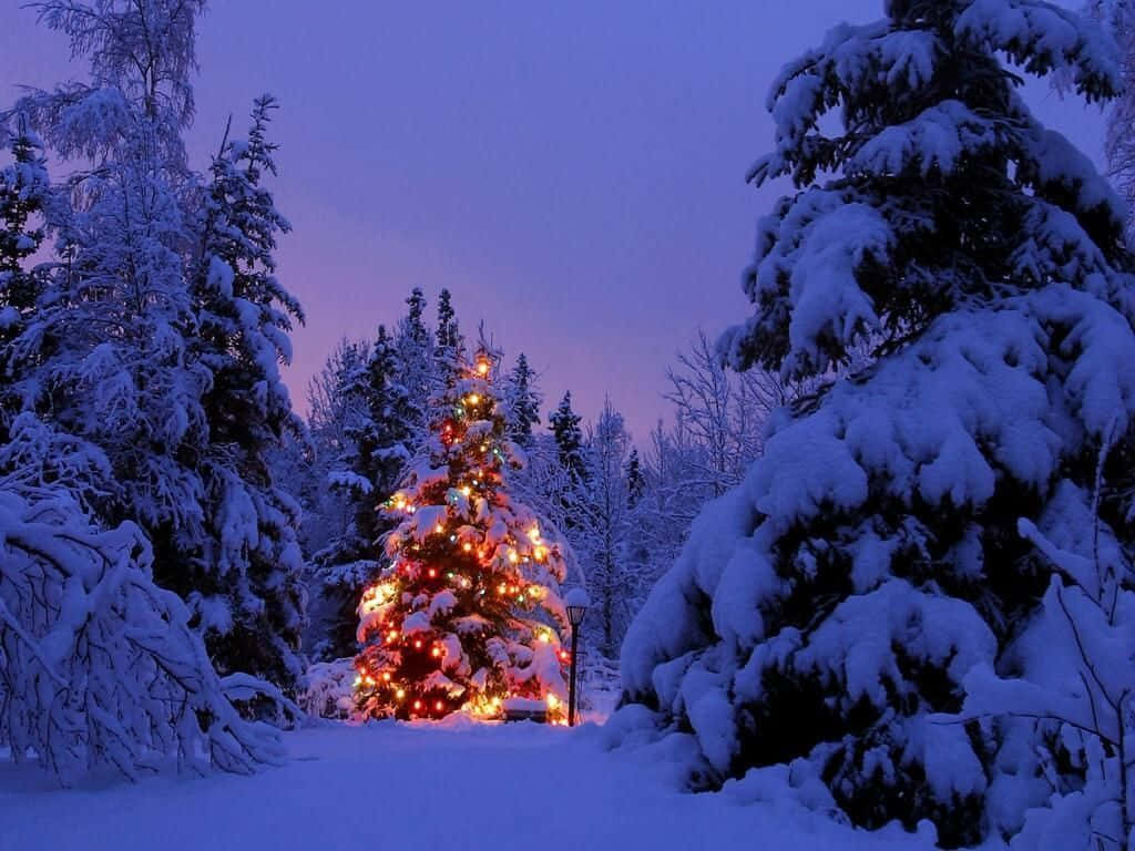 Beautiful Christmas Desktop Winter Background