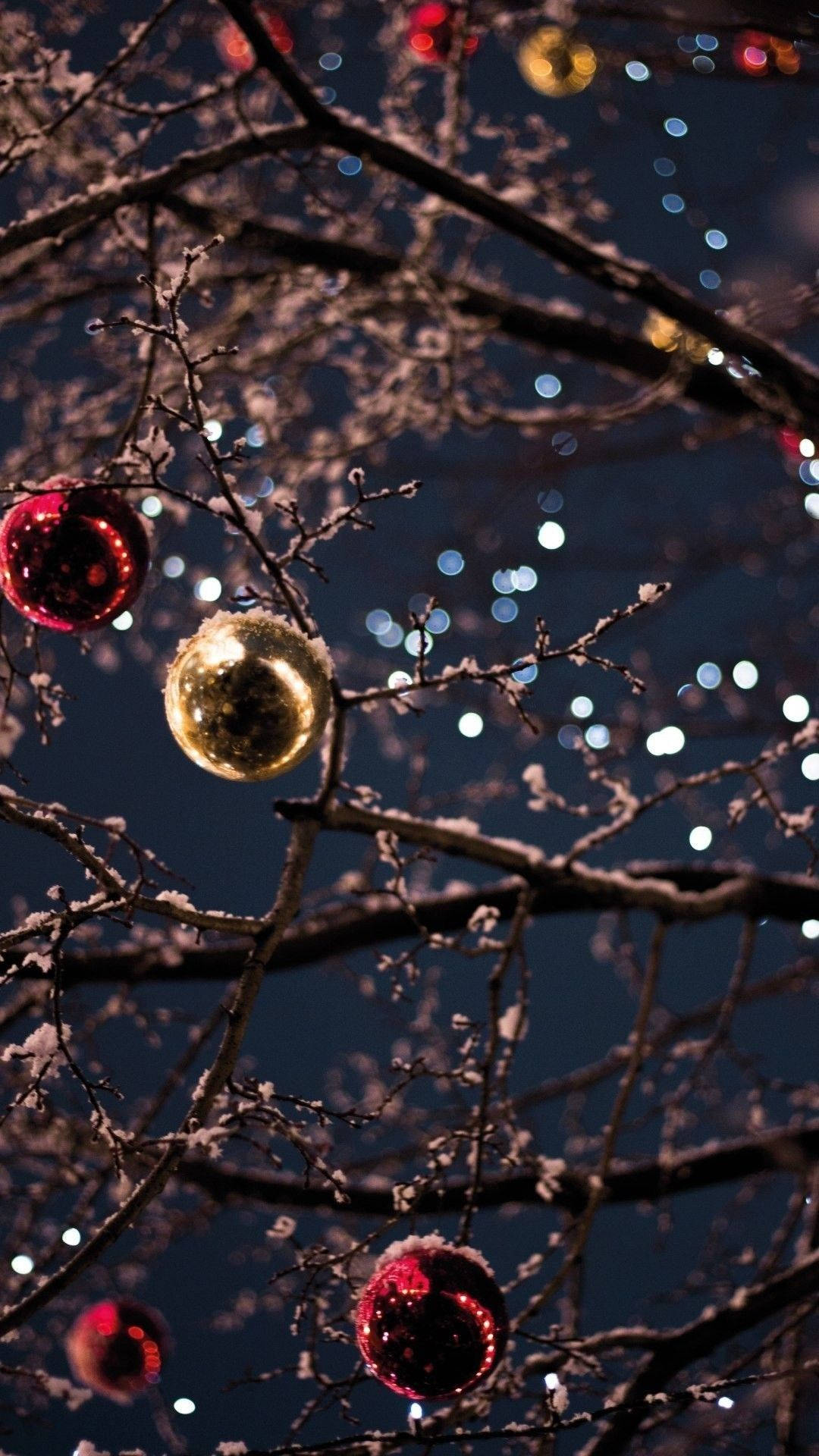 “beautiful Christmas Lights Adorn This Festive Winter Scene.” Background