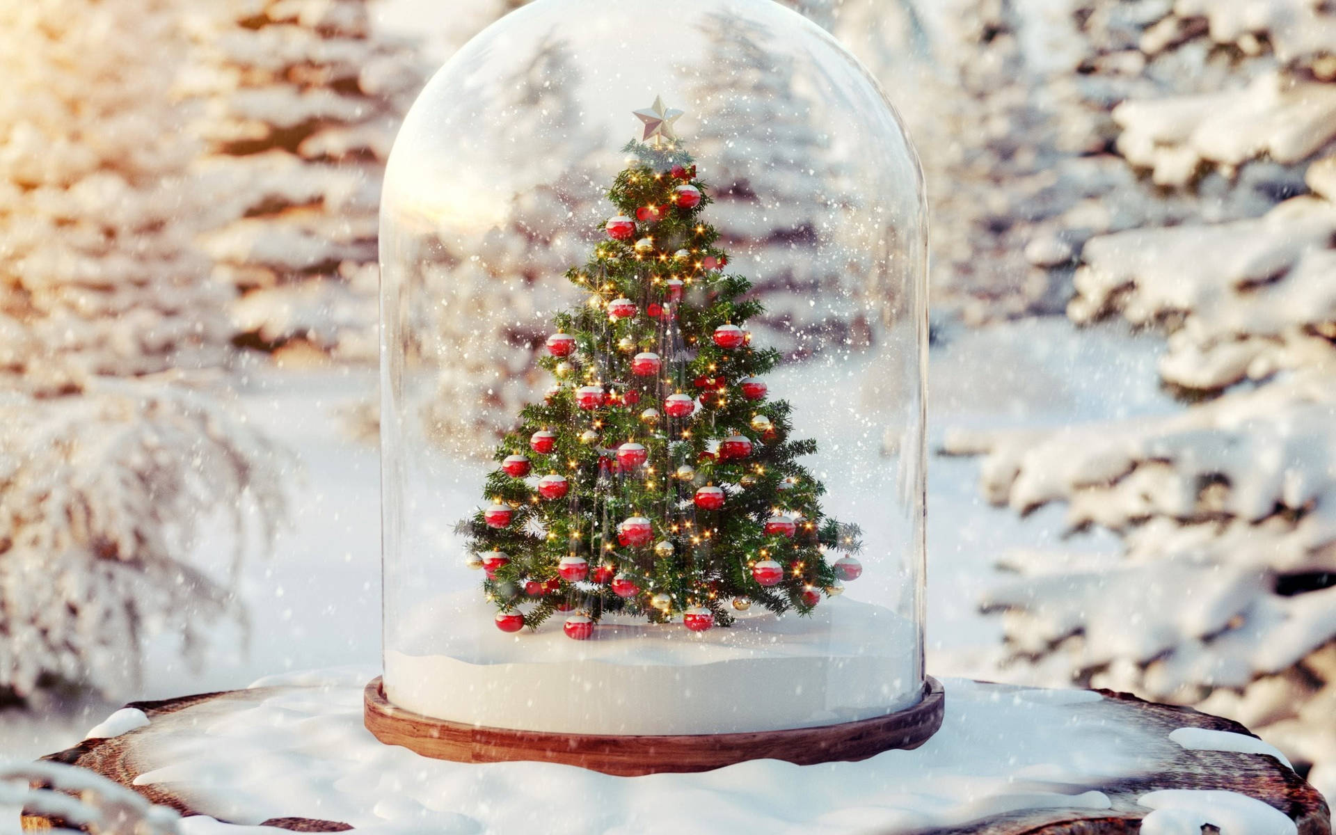 Beautiful Christmas Snow Globe Background