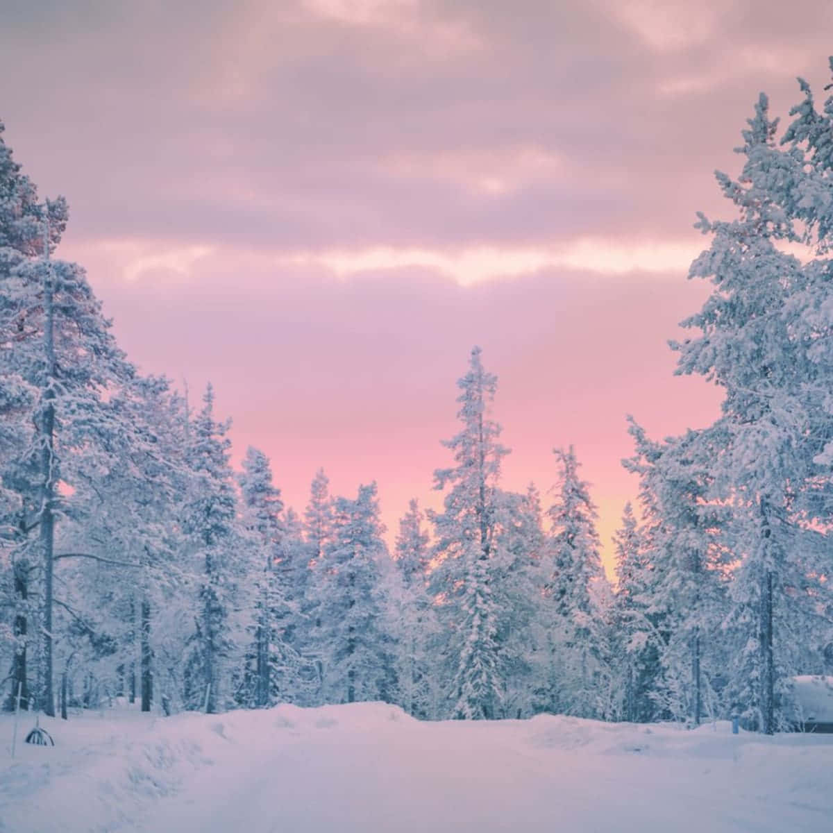 Beautiful Cloudy Sunset Cozy Winter Aesthetic Photography