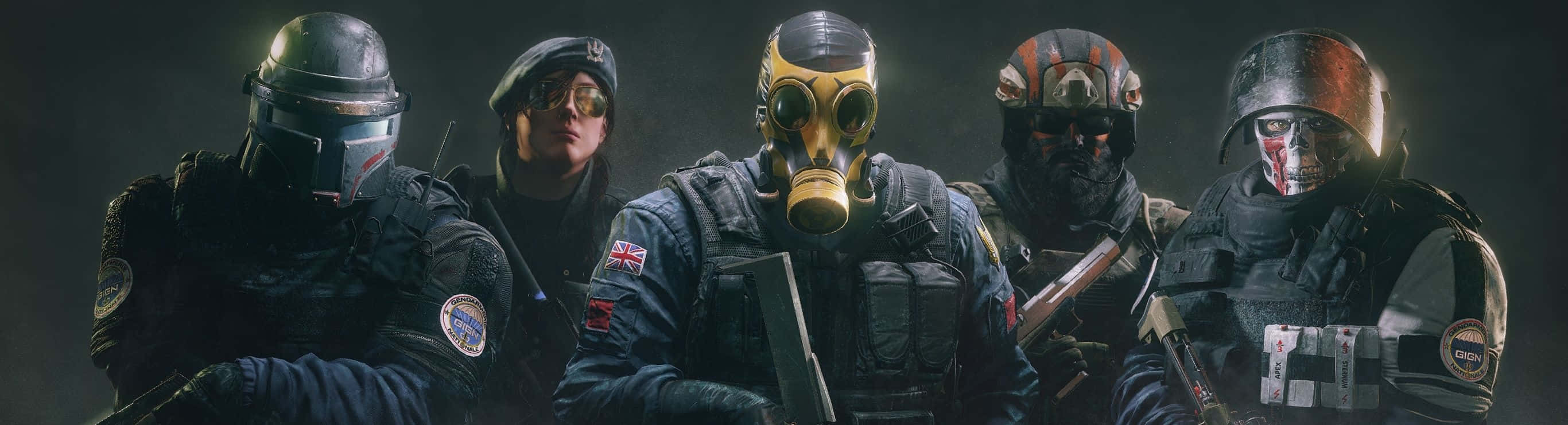 Beautiful Colorful Grassy Meadow On A Sunny Day Background