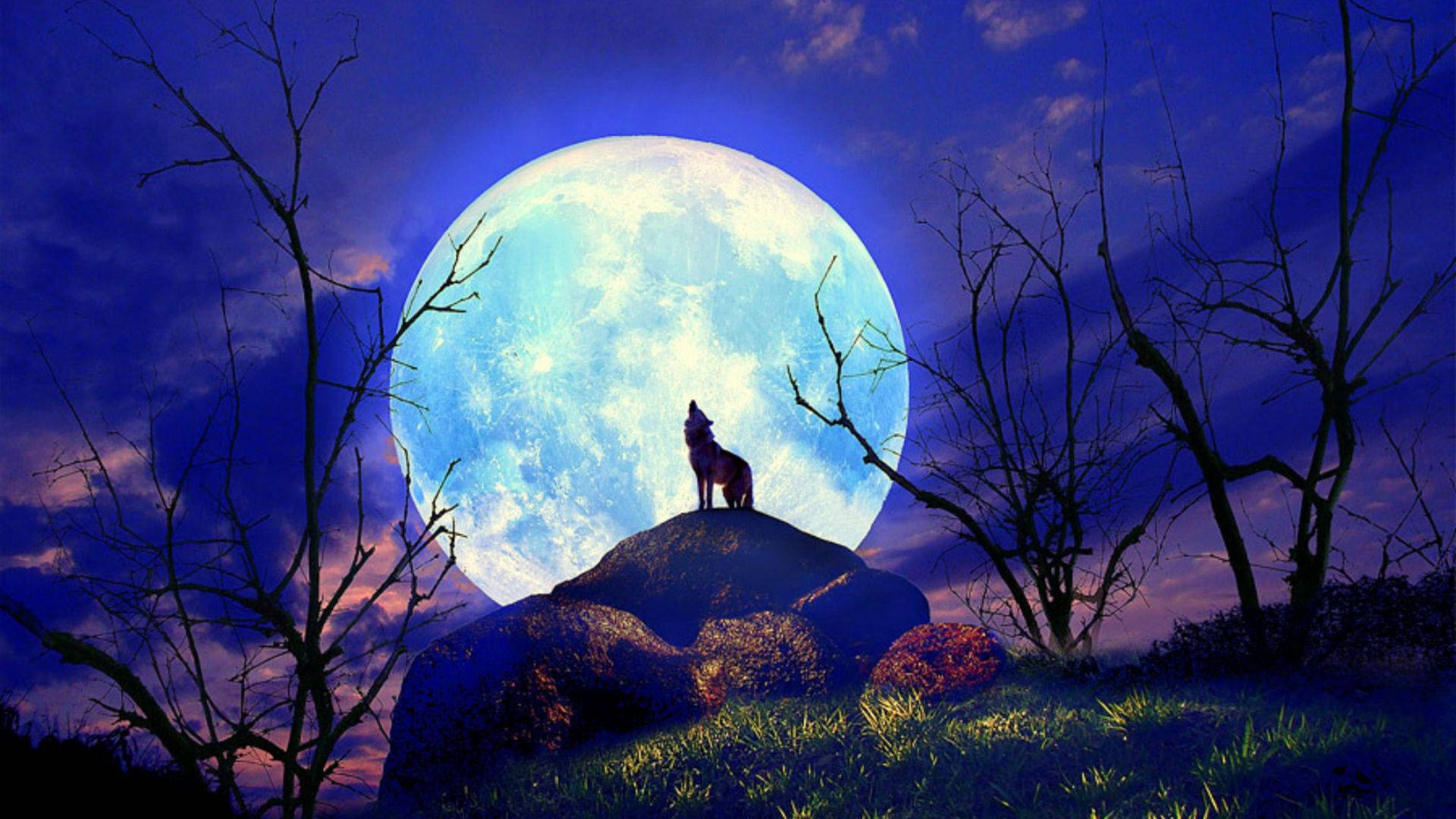 Beautiful Cool Full Moon Background