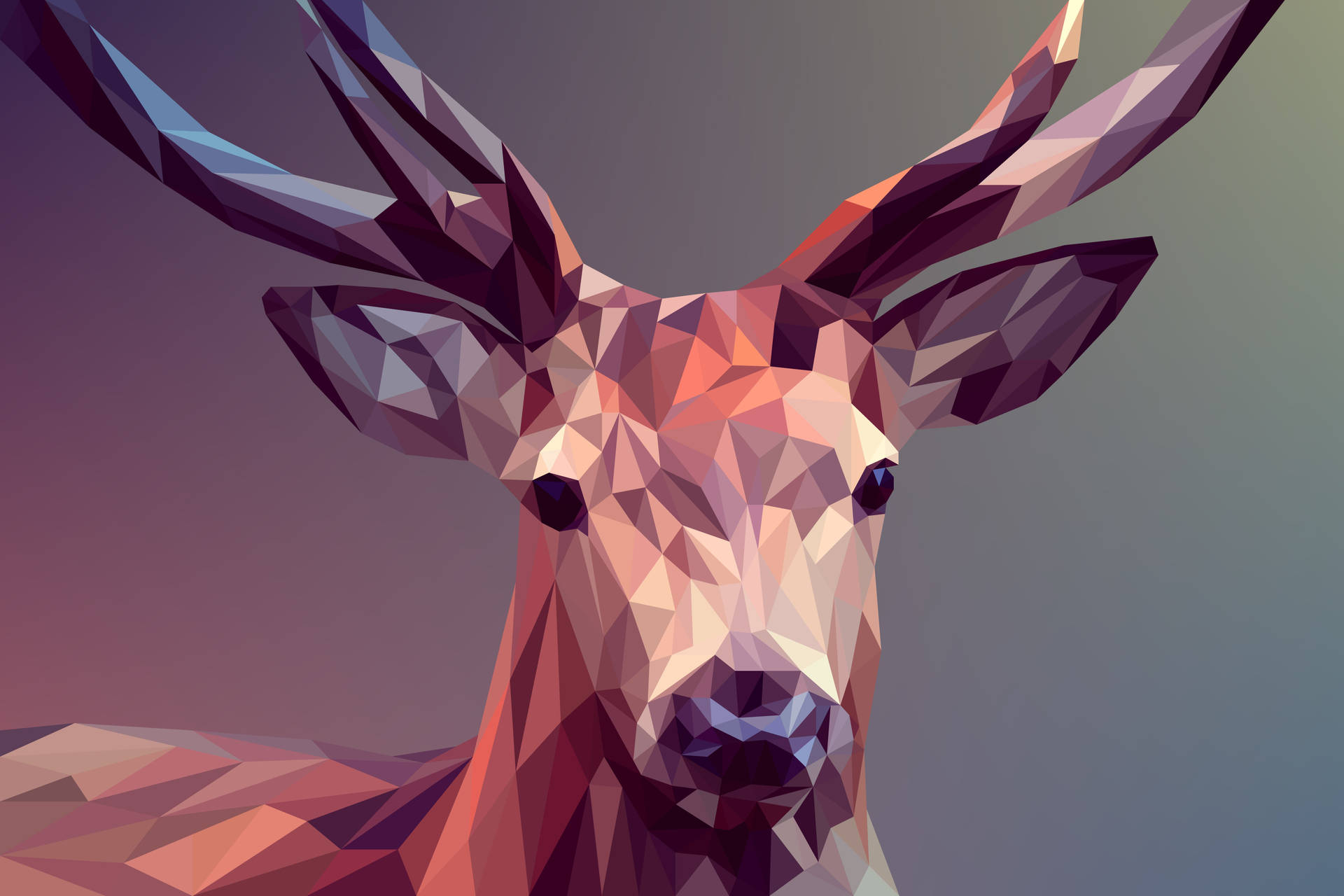 Beautiful Cool Polygon Art Deer Background