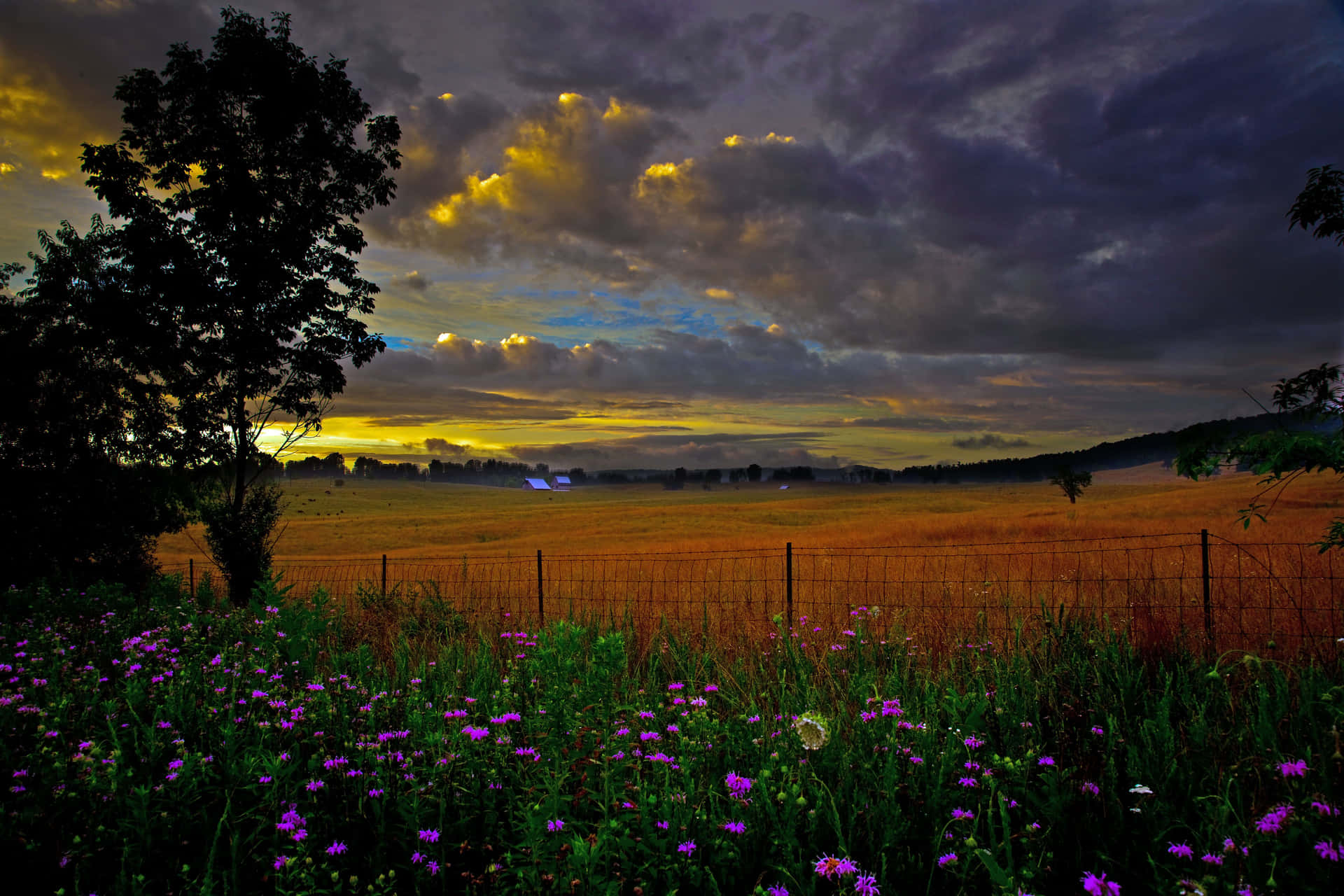 Beautiful Country Scene In The Fields