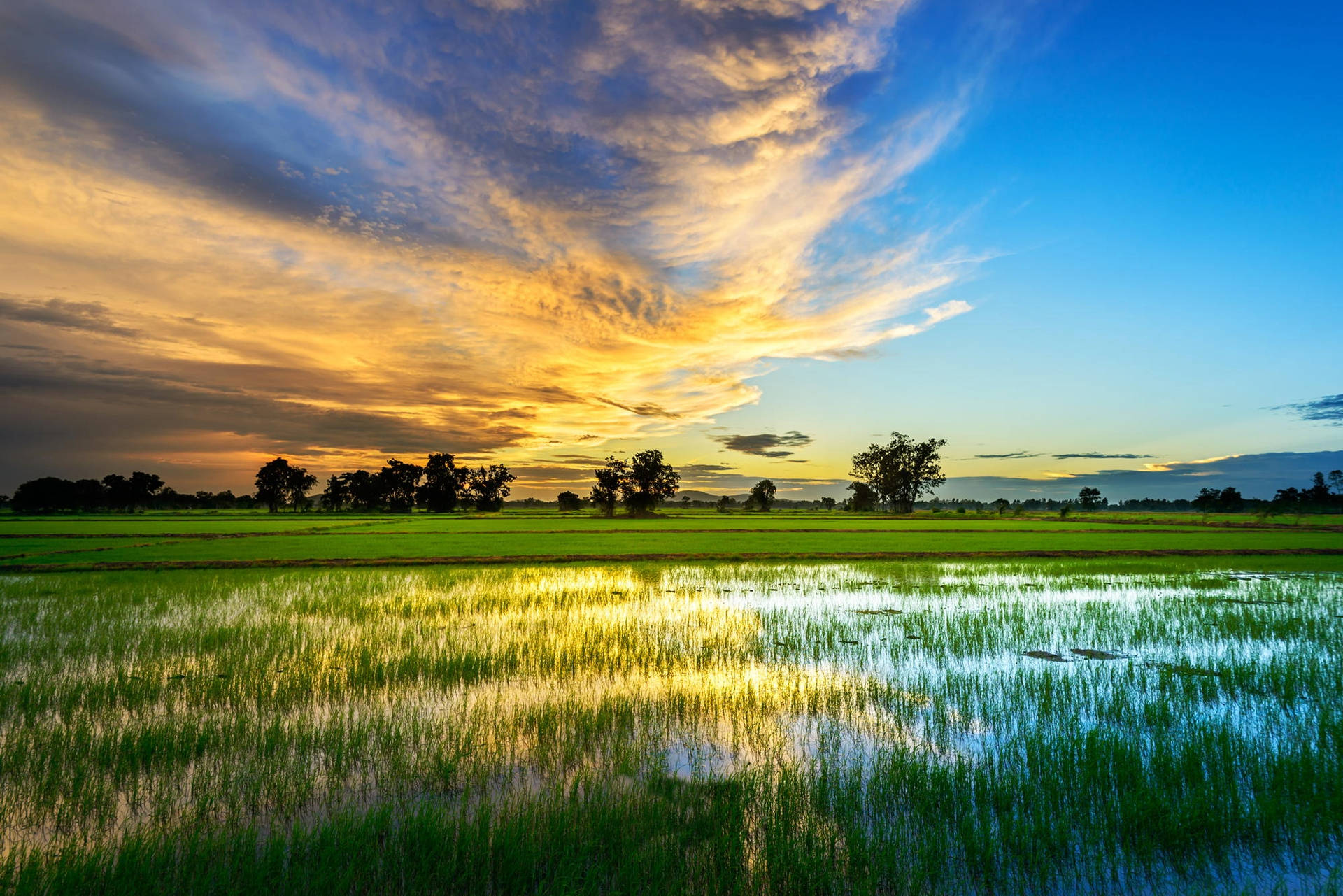 Beautiful Countryside Agriculture Background