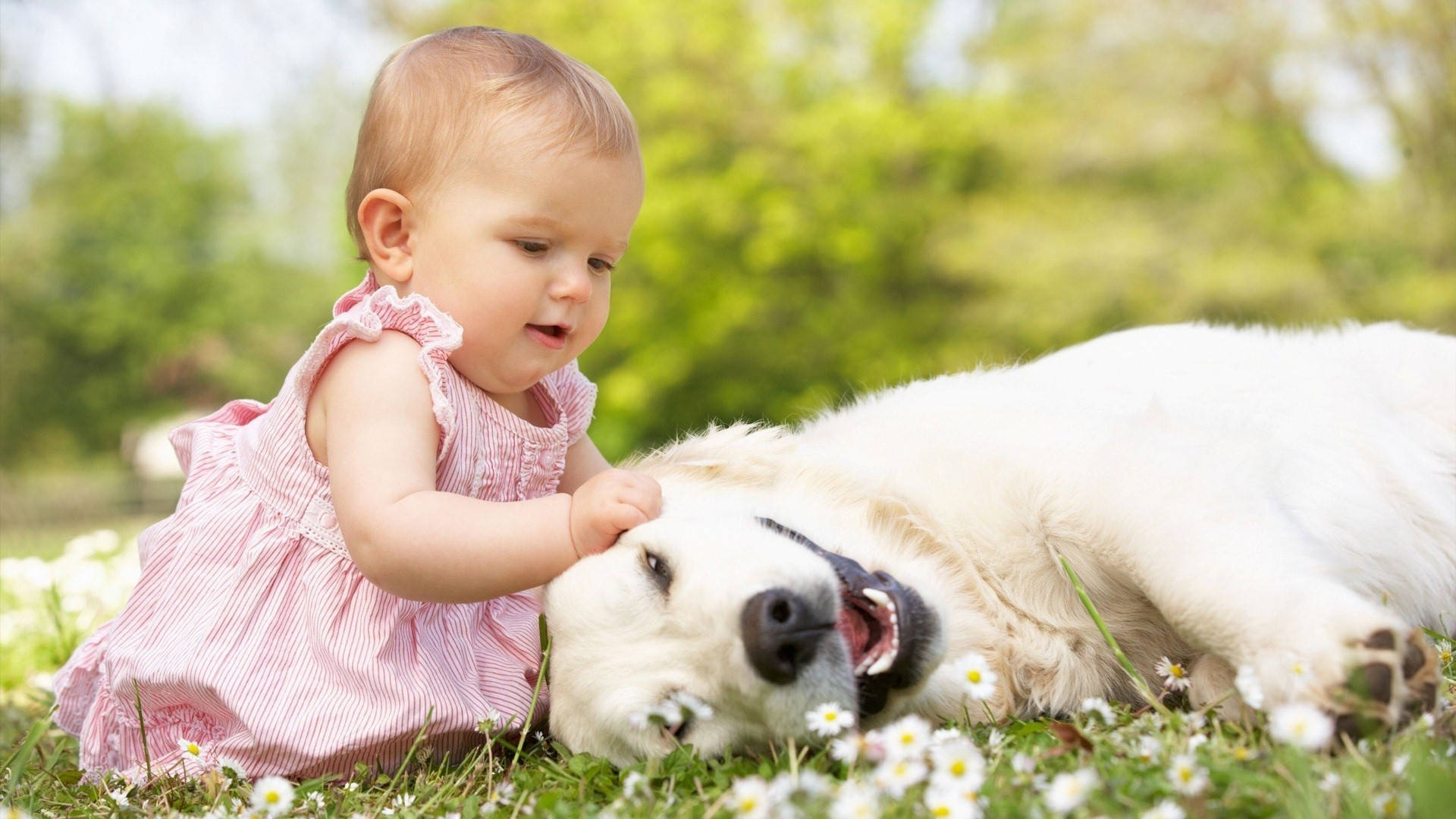 Beautiful Cute Baby And Dog Background