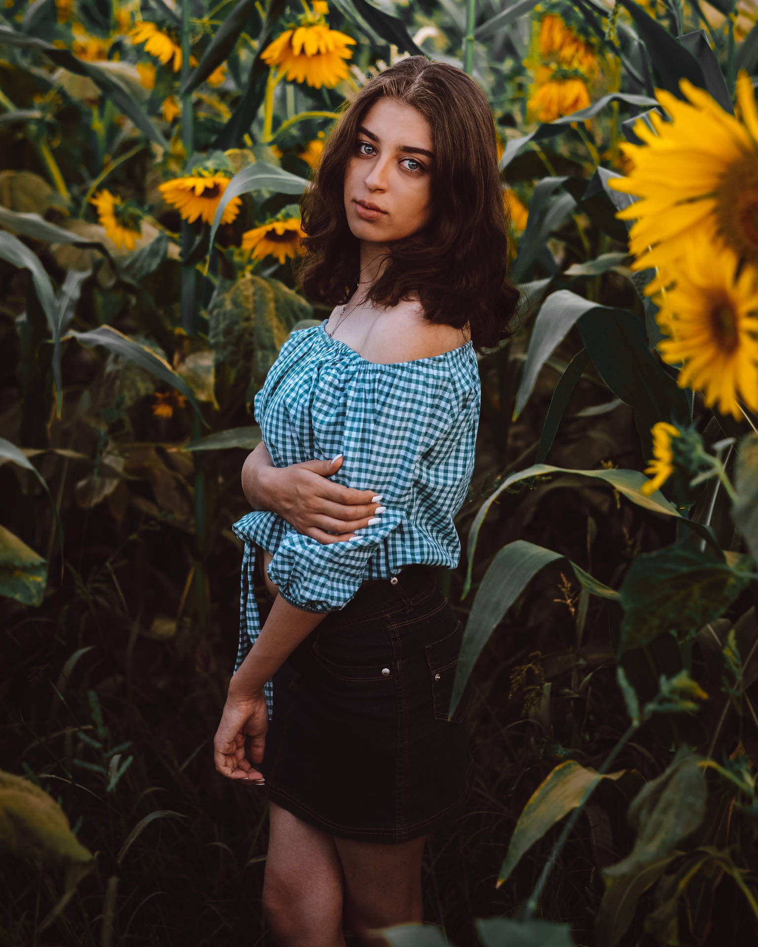 Beautiful Cute Sunflowers