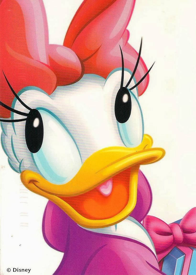 Beautiful Daisy Duck Disney Background