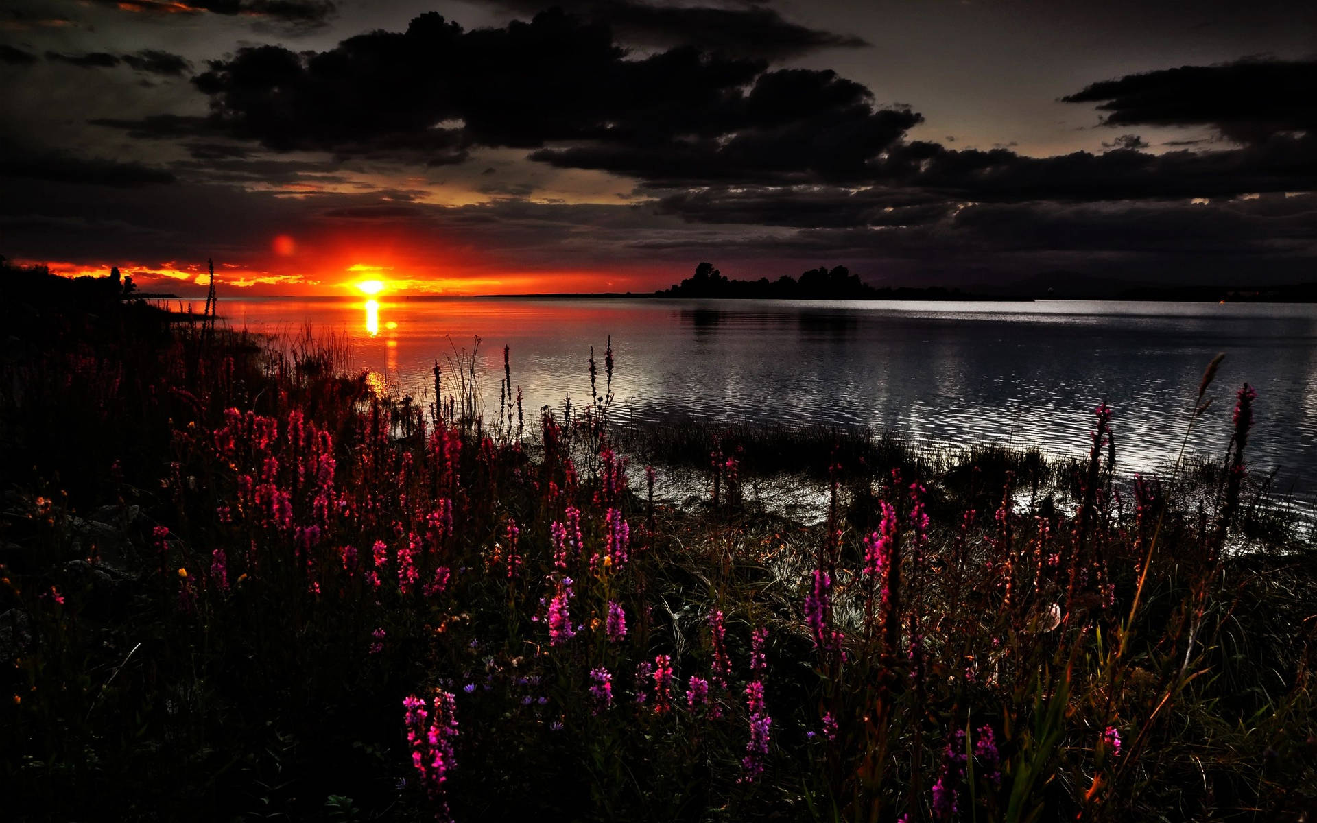 Beautiful Dark Body Of Water With Shrubs Background