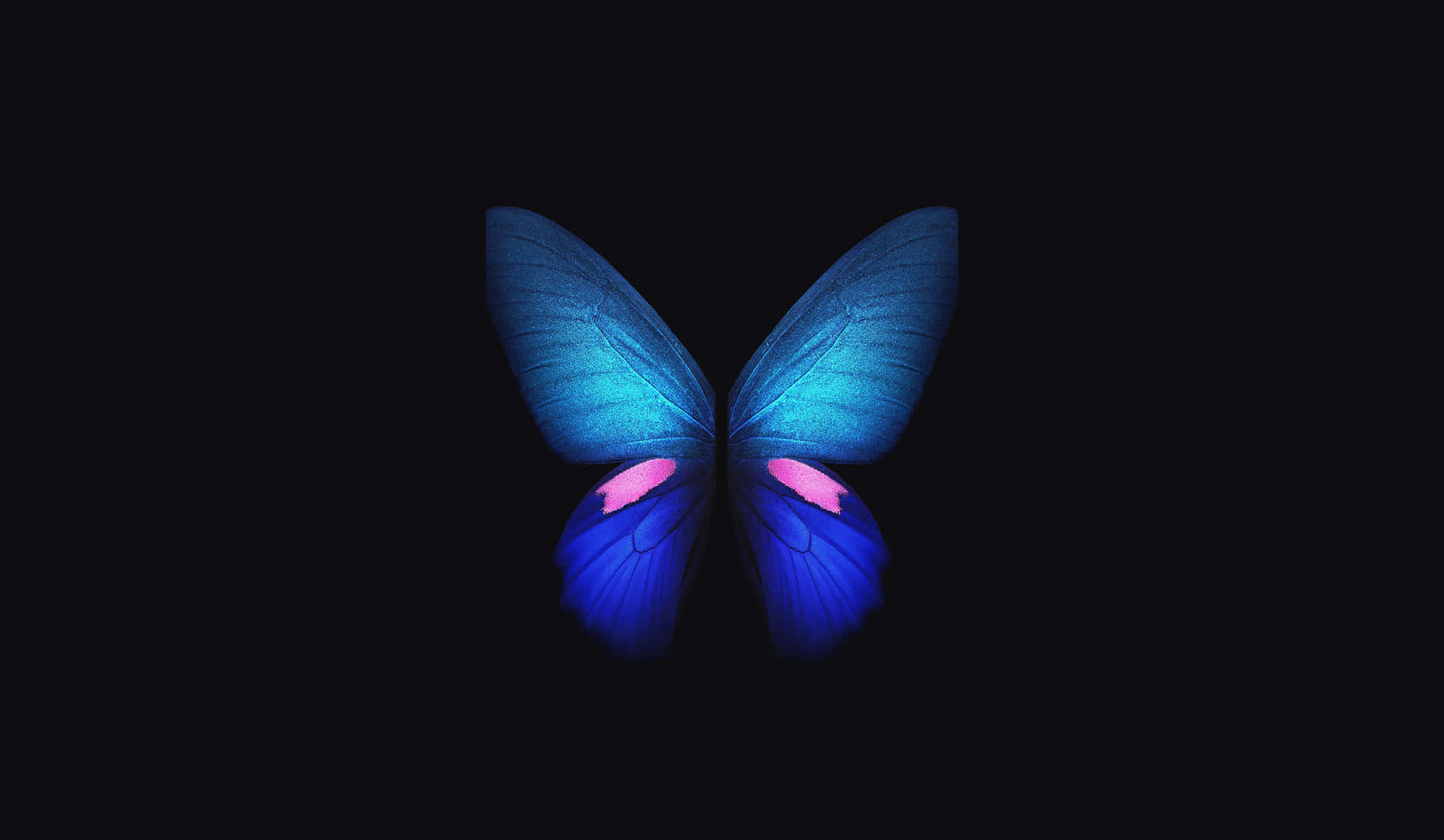 Beautiful Dark Butterfly On A Mysterious Floral Background Background