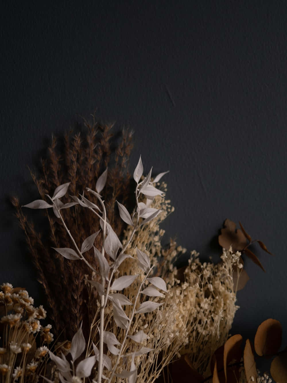 Beautiful Display Of Various Dried Flowers Background