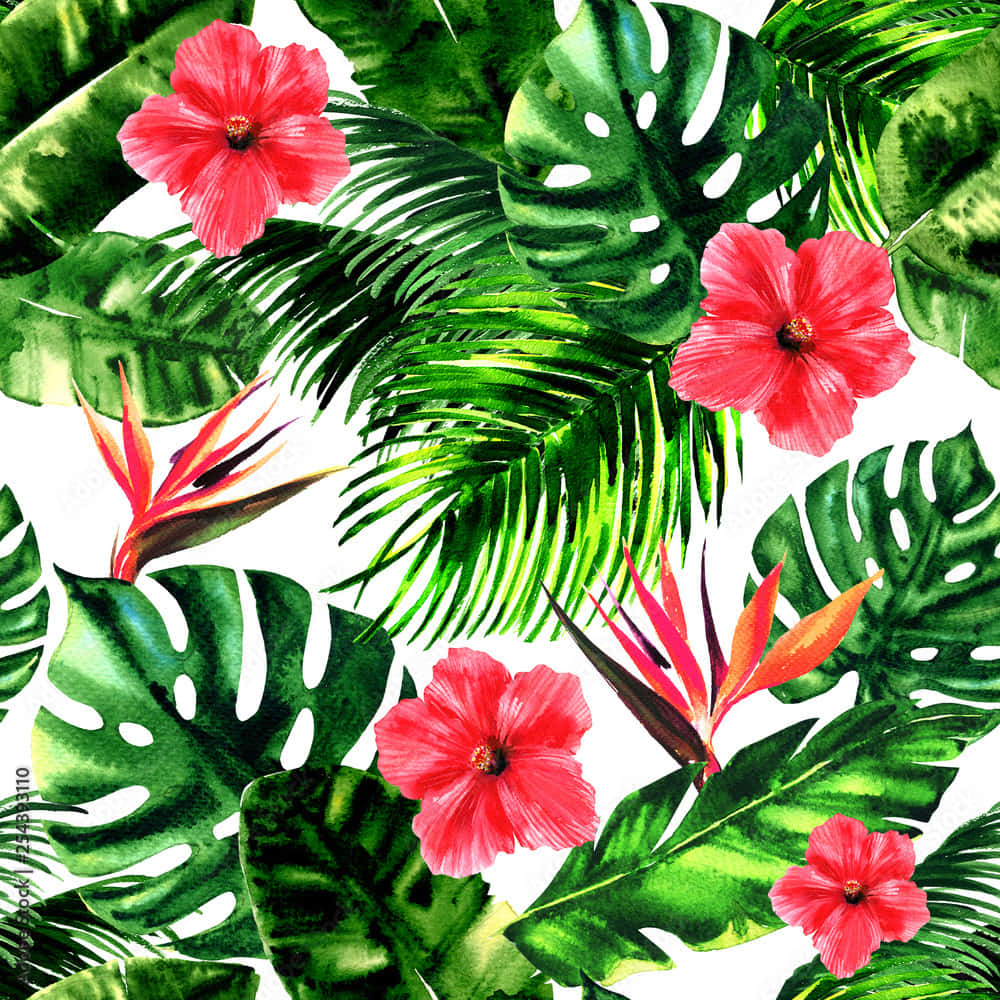 Beautiful Drawing Of A Flower Background