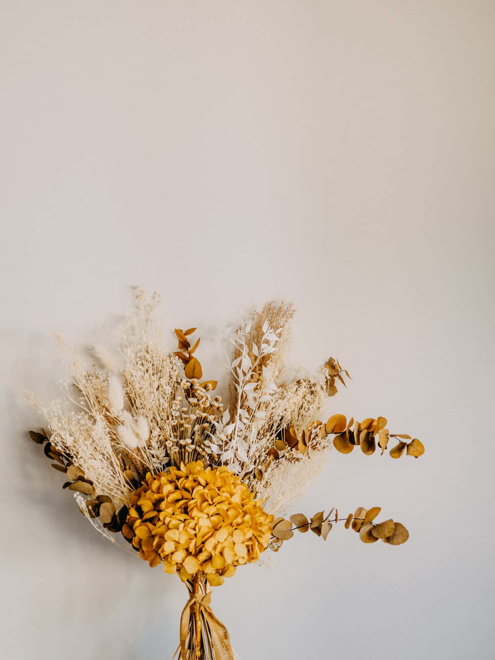 Beautiful Dried Flowers Arrangement Background