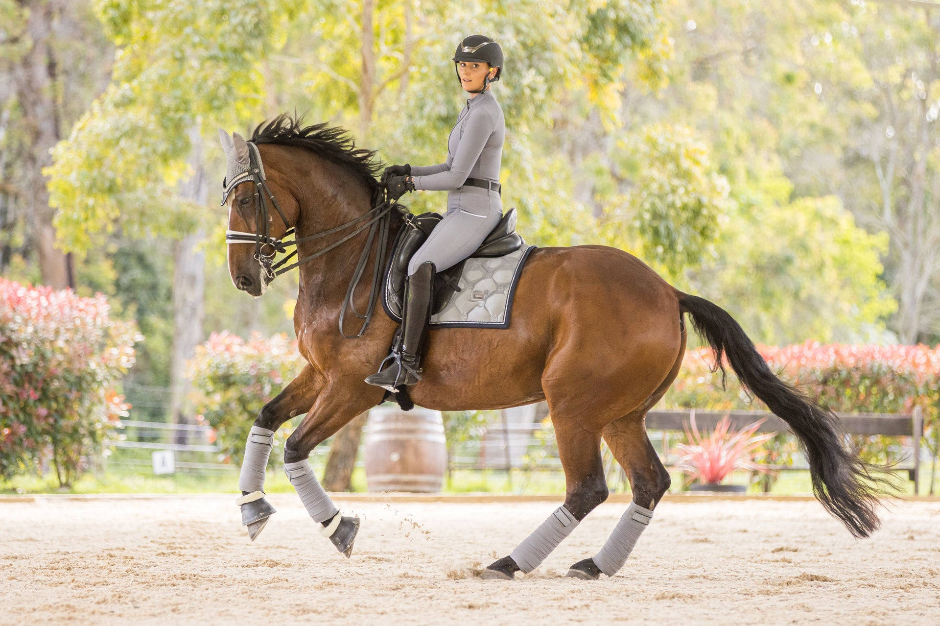 Beautiful Female Equestrian Riding Her Horse Background