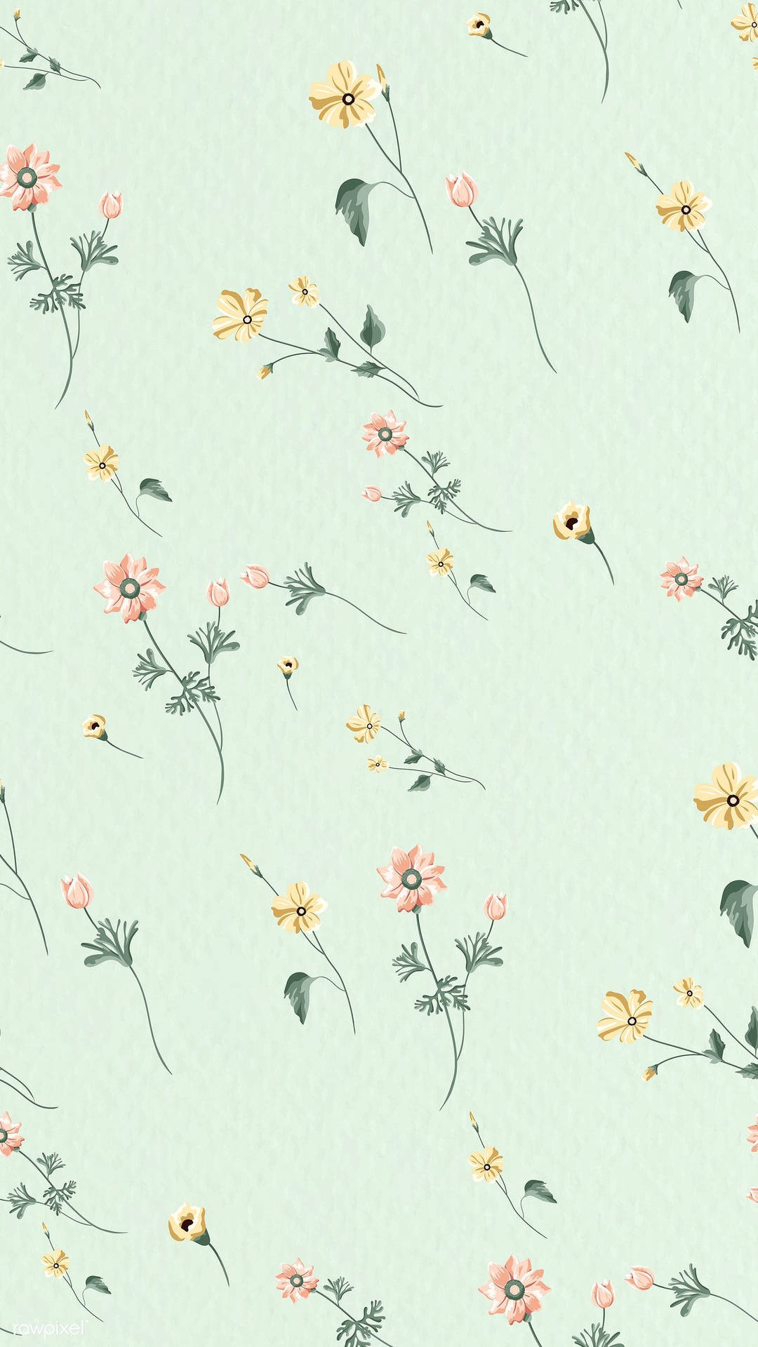 Beautiful Flowers Mint Green Iphone Background