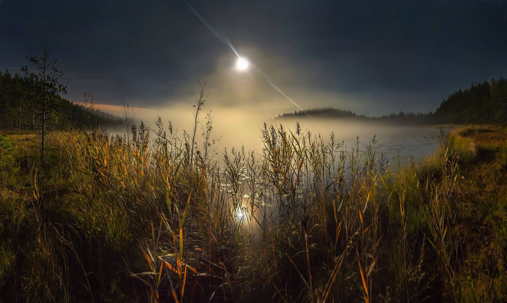 Beautiful Full Moon Over Foggy Swamp Background