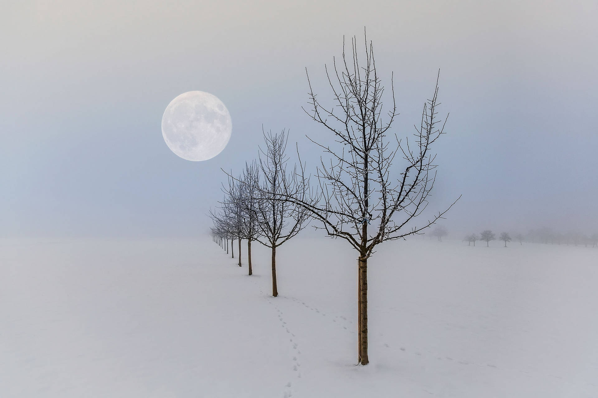 Beautiful Full Moon Winter Scenery