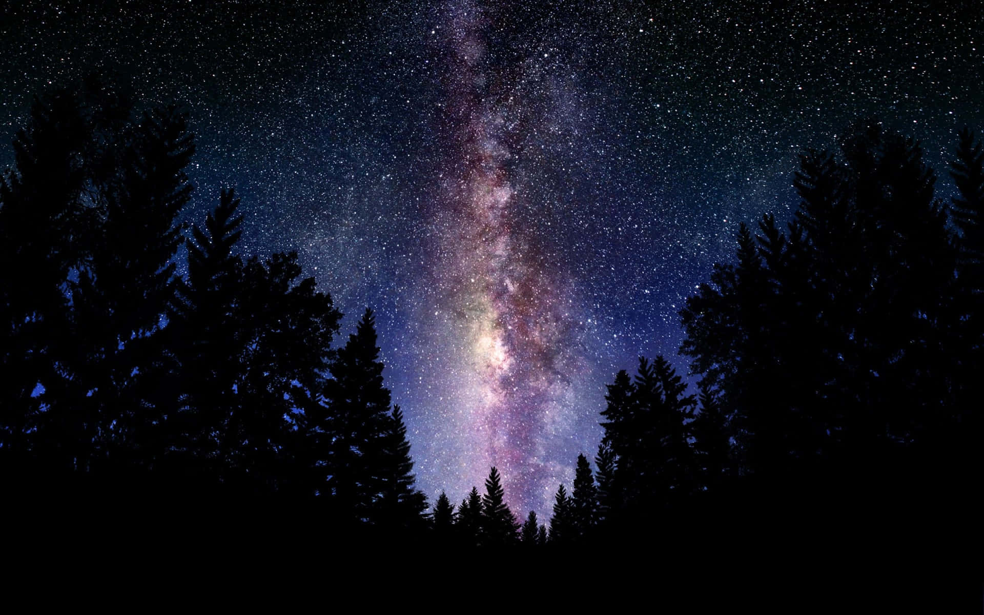 Beautiful Galaxy In A Dark Forest Background