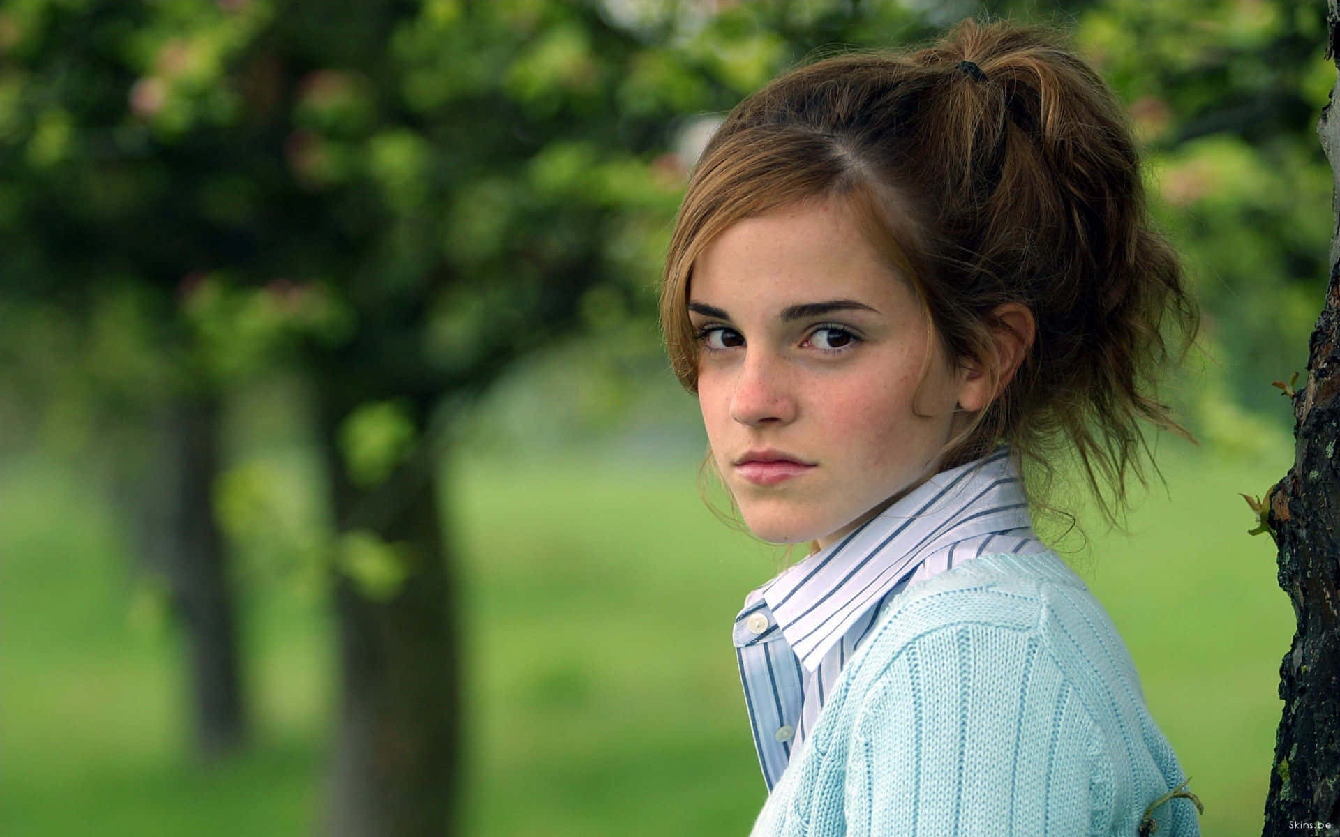 Beautiful Girl With A Desktop