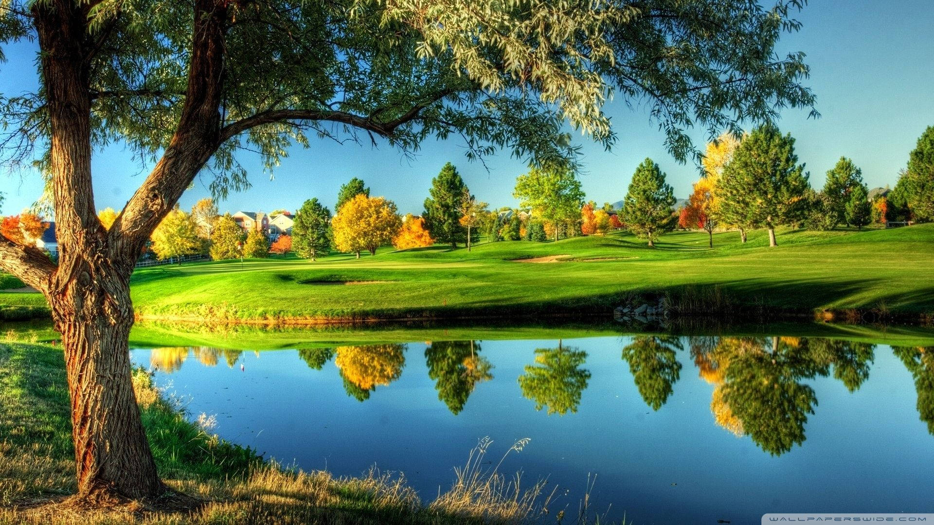 Beautiful Golf Landscape Hd Background