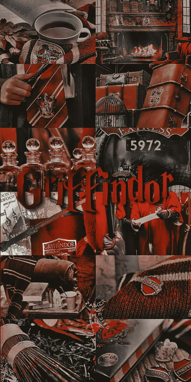 Beautiful Gryffindor Aesthetic Iphone Theme