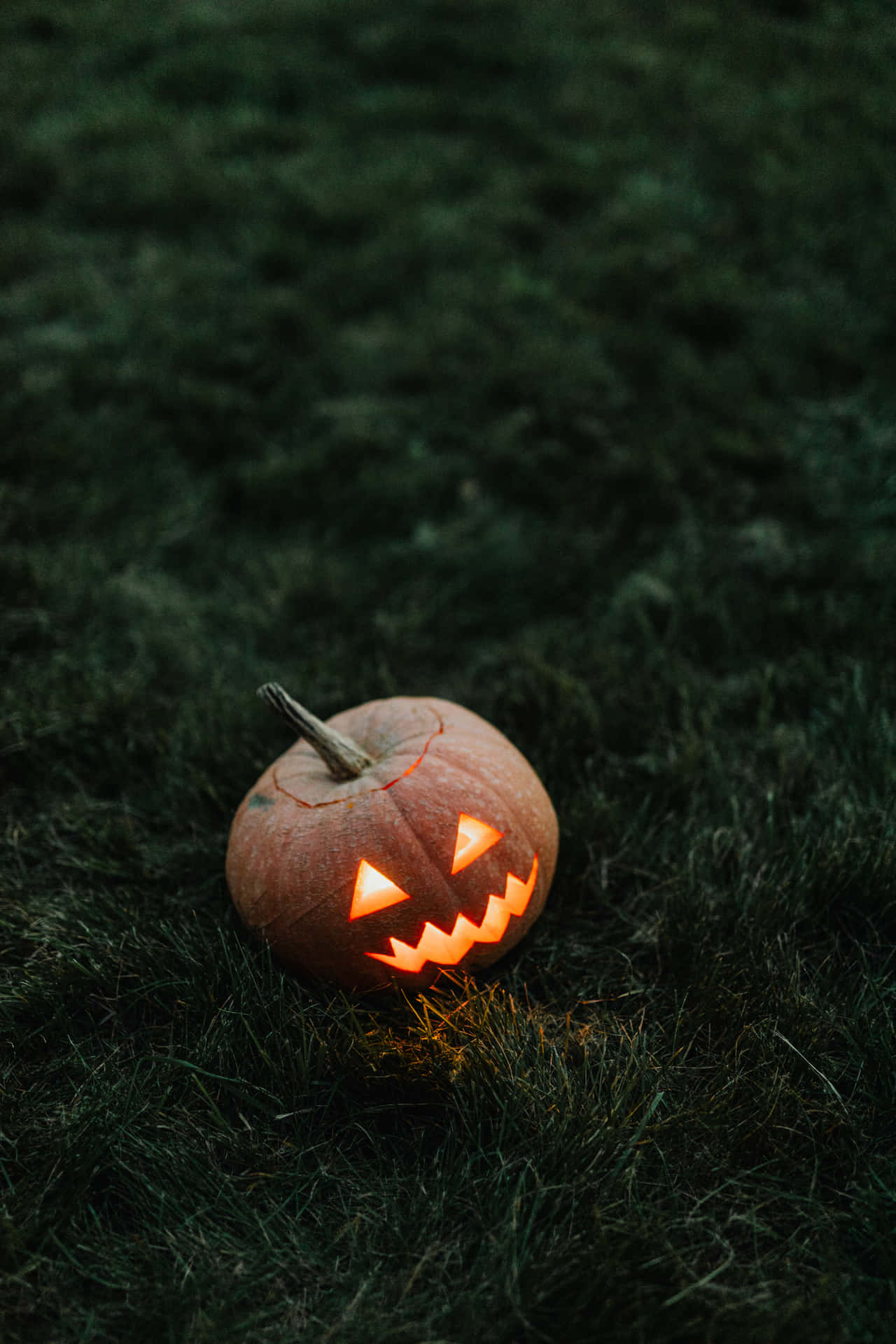 Beautiful Halloween Pumpkin On Grass Background