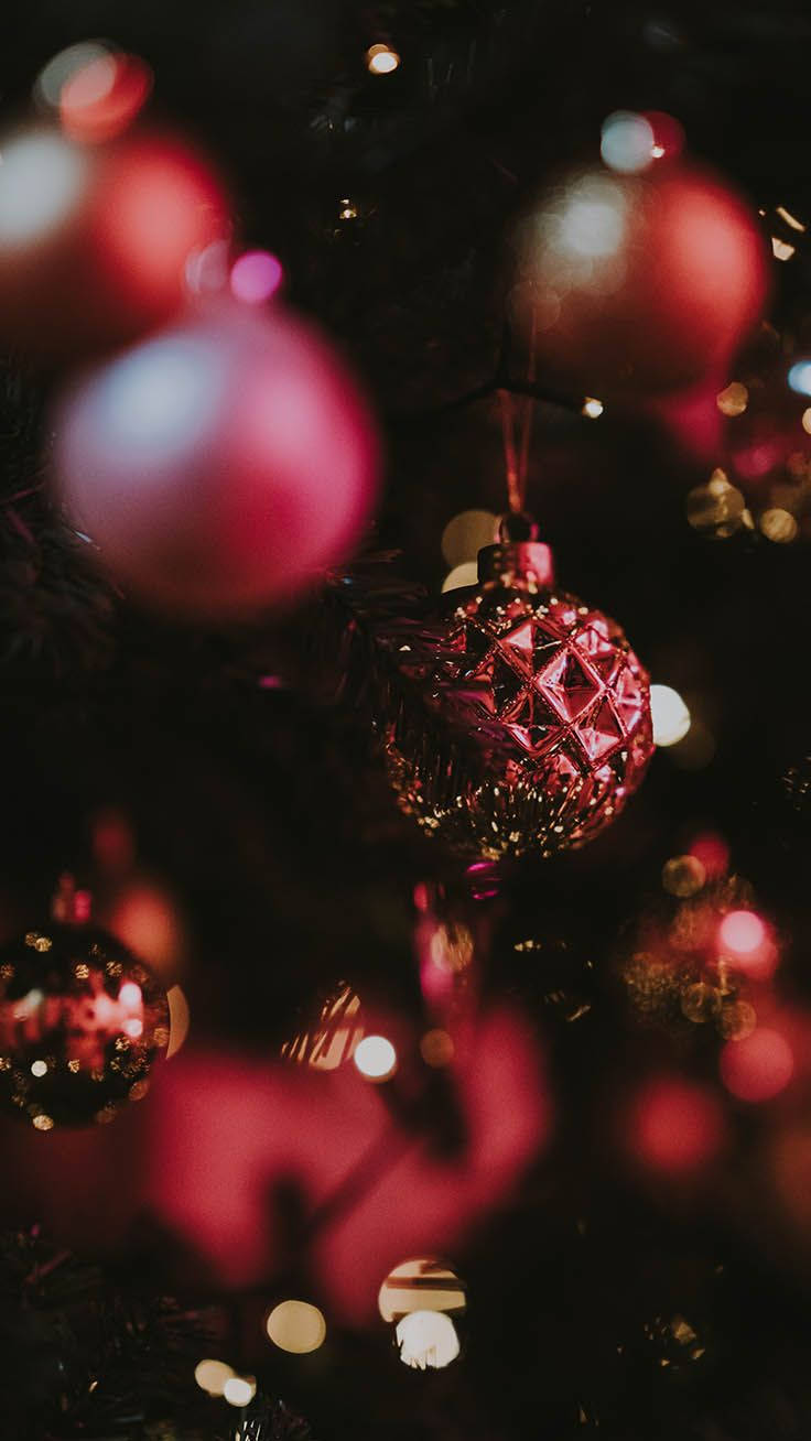 Beautiful Hanging Dark Pink Festive Christmas Balls Background