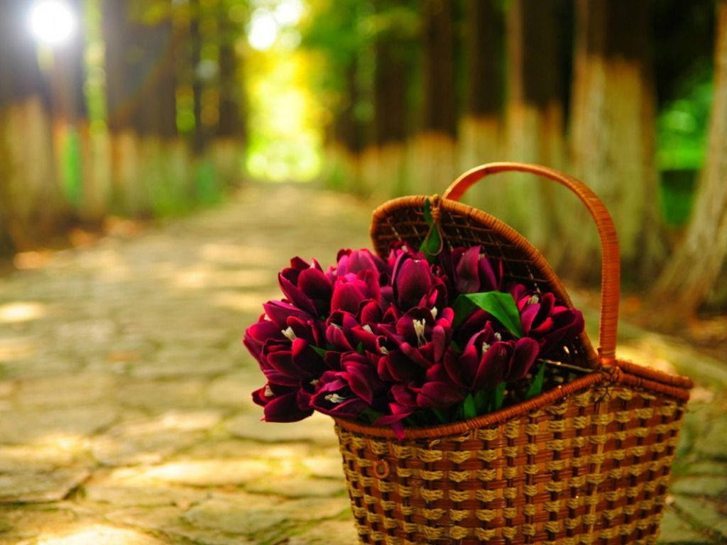 Beautiful Hd Basket Of Flowers Background